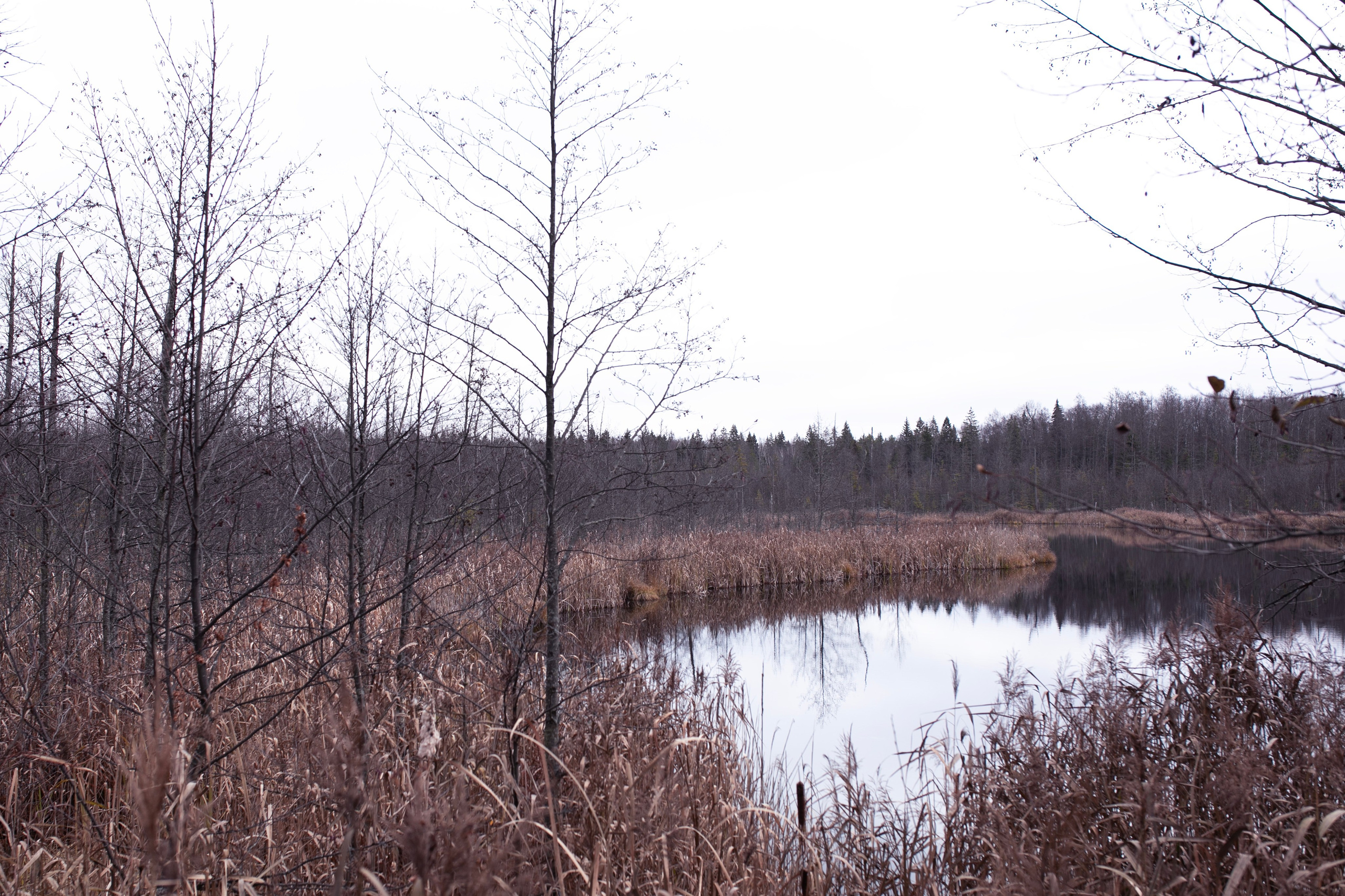 Муром — Гороховец'25. Фотограф-портретист в Москве