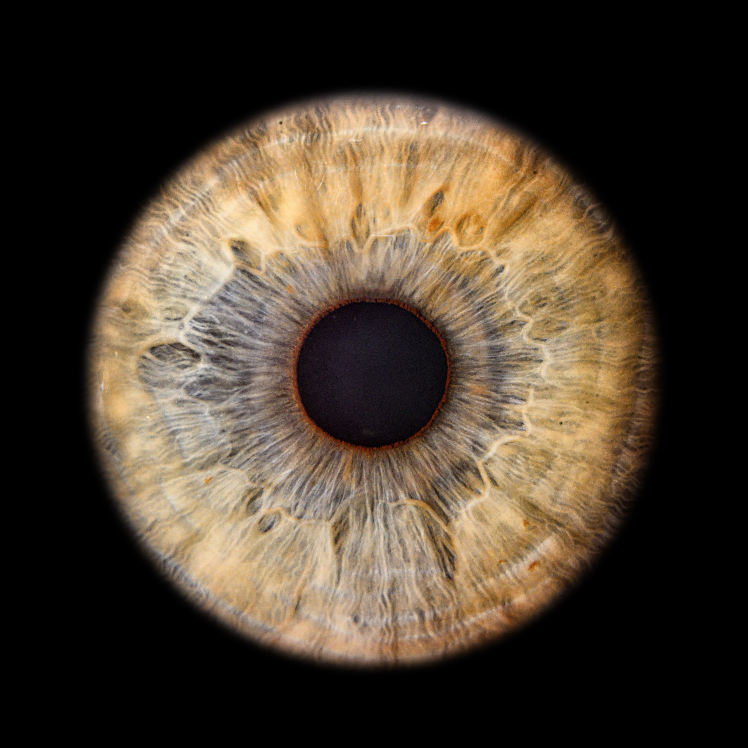 Лучшая фотография радужки глаза в Ростове. Профессиональная фотосъемка. Ростов-на-Дону