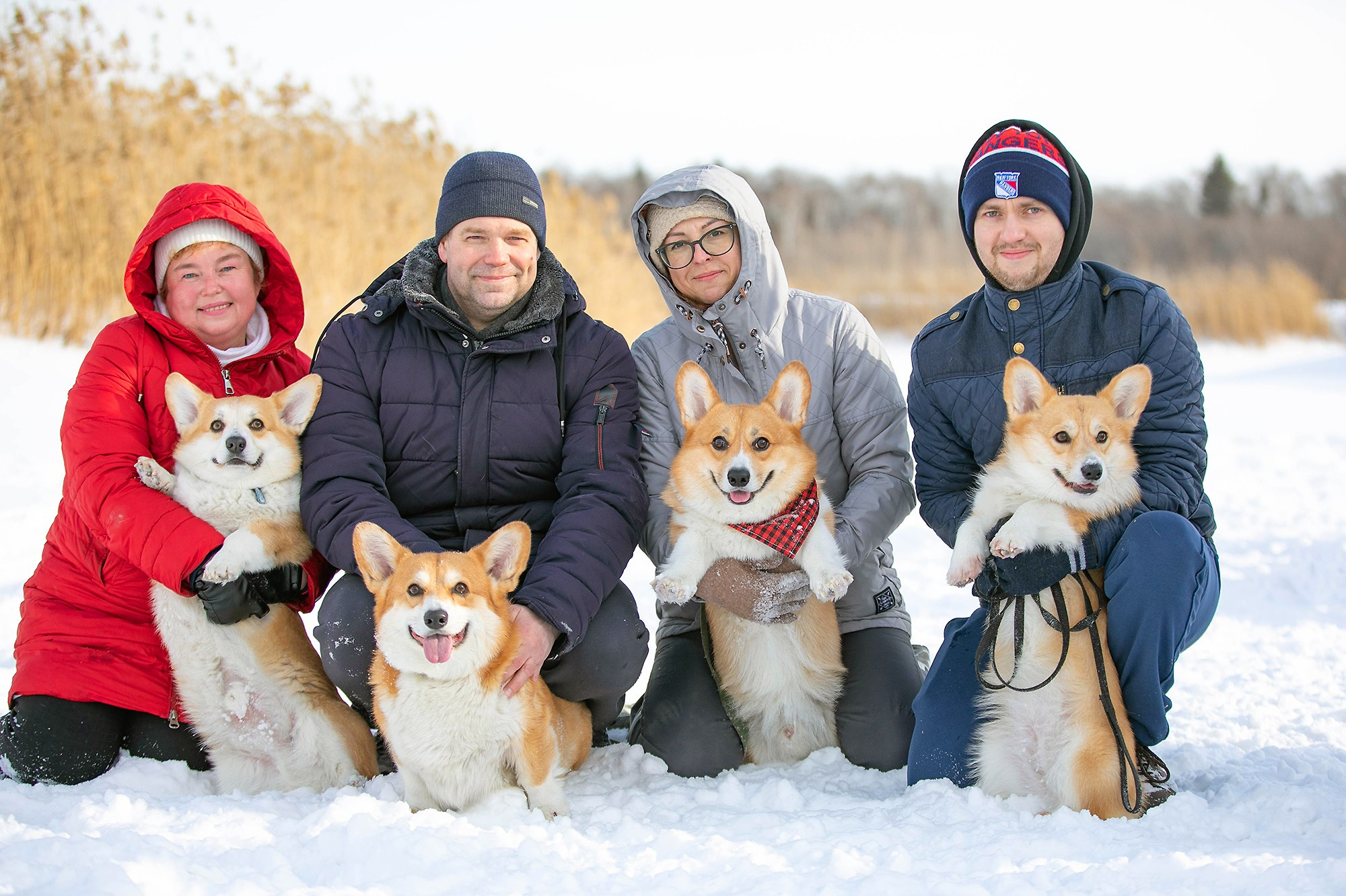Корги-туса. Фотограф-анималист в Омске Екатерина Маричева