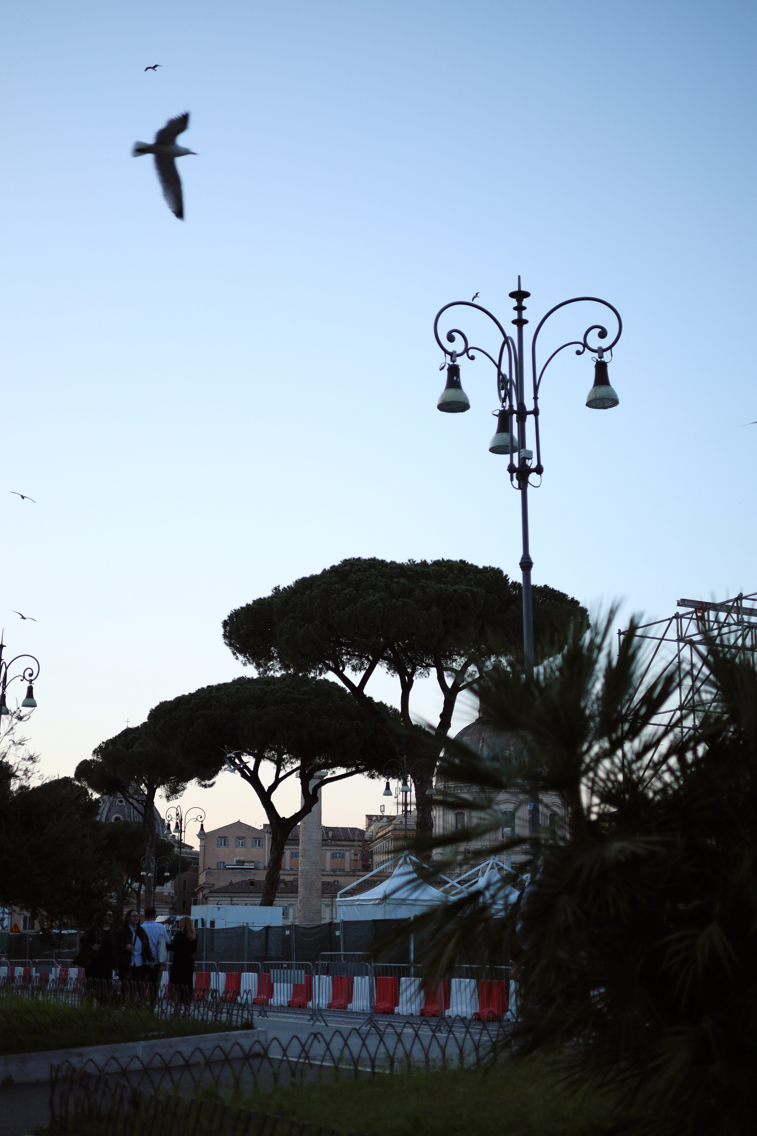 Путешествия. Mariyaschmidt