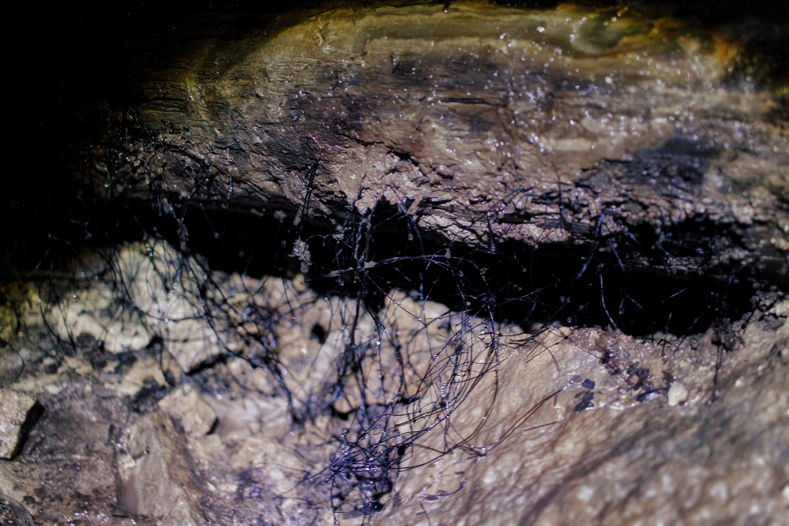 Исчезающие. Фотограф в Самаре Варвара Макарова