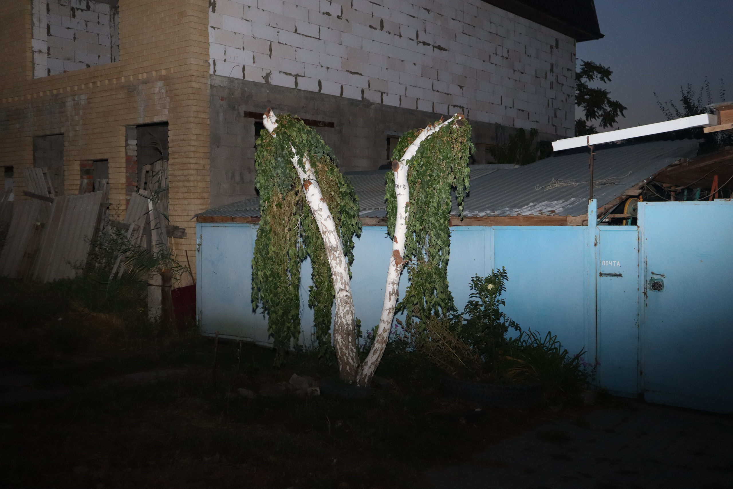 Rusted night. Lidia Anosova