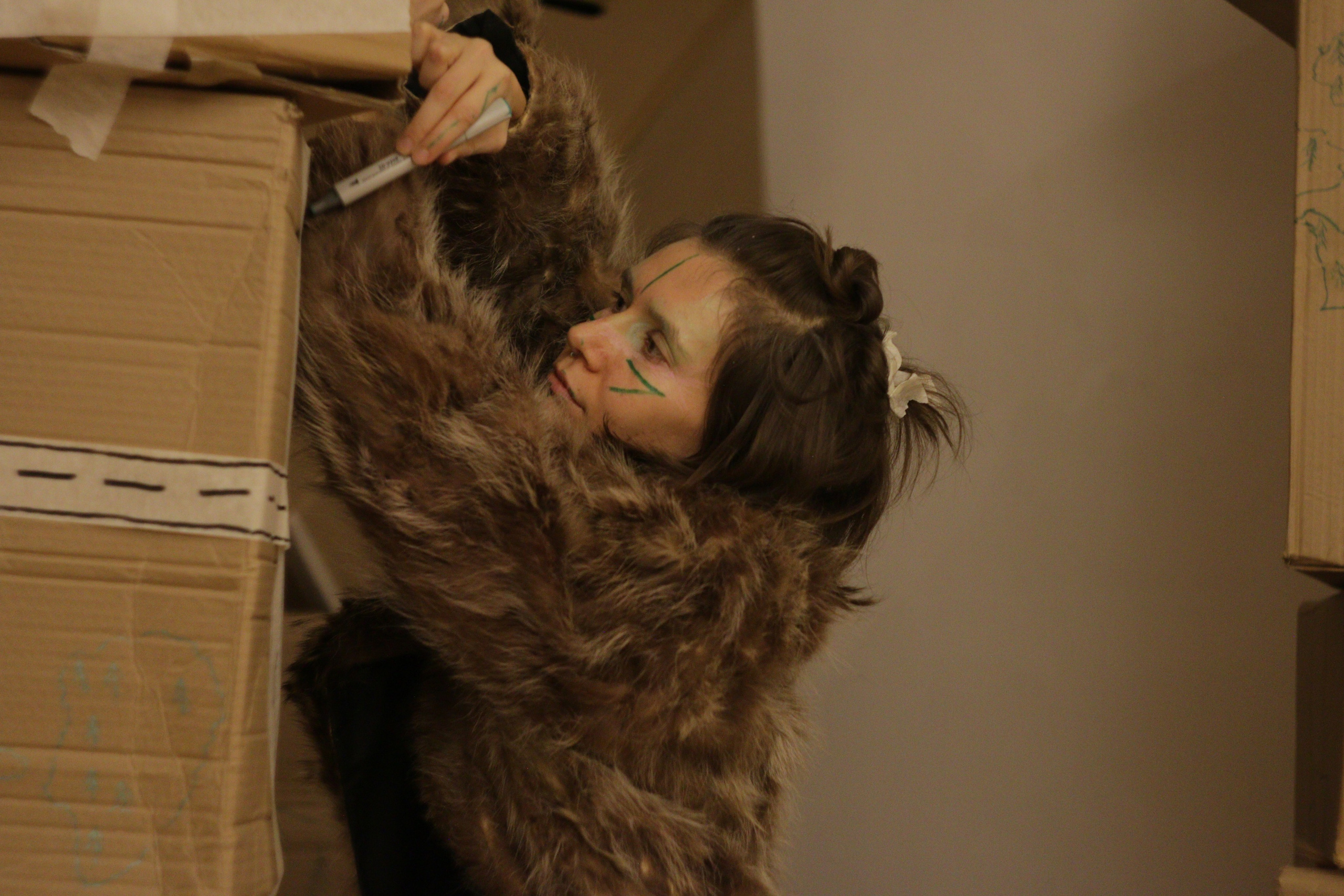 2024 performans “boxes”. Home