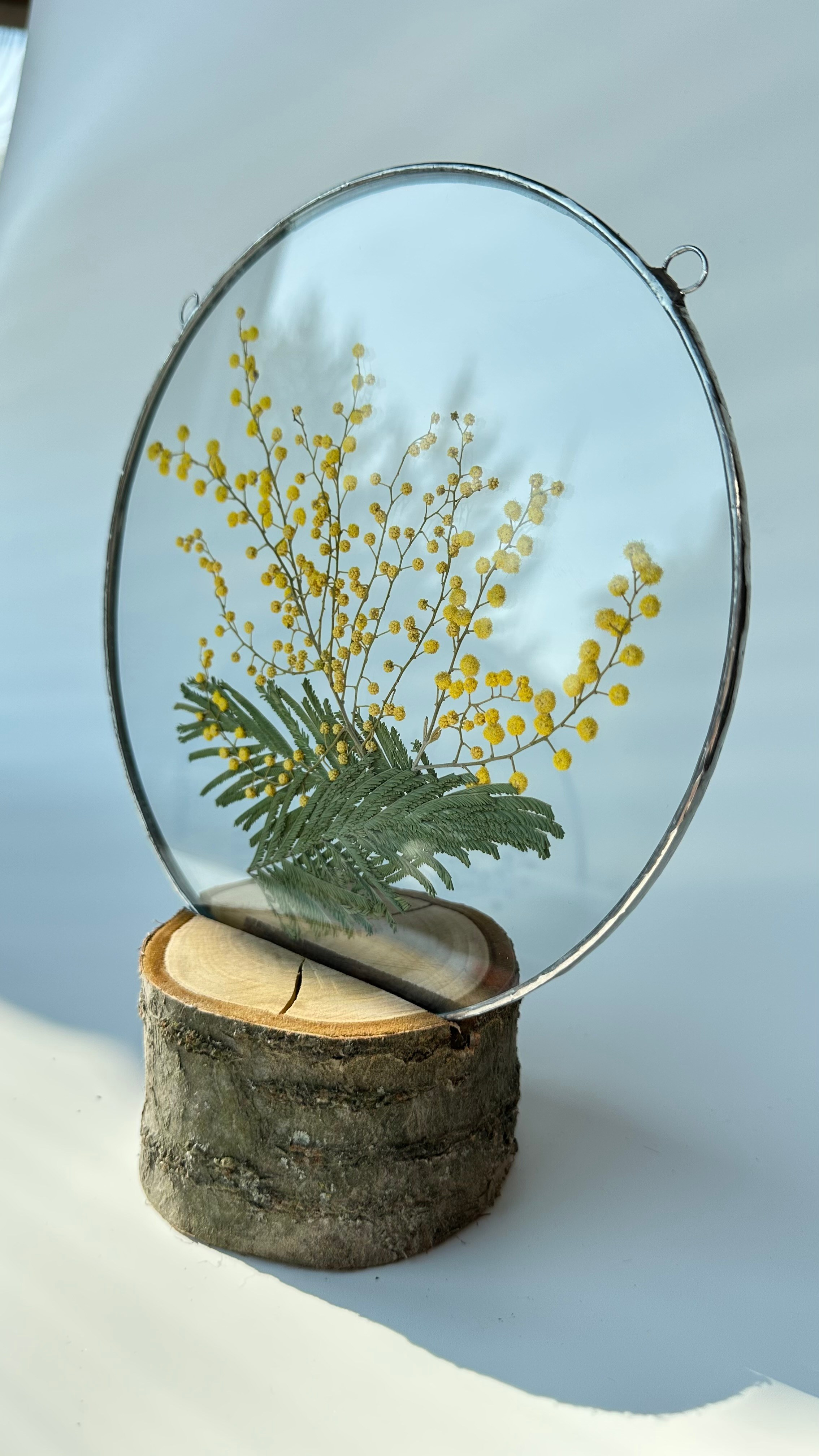 Мимоза круг 20 см. Оформляю пространства. Витражи с сухоцветами в технике Тиффани