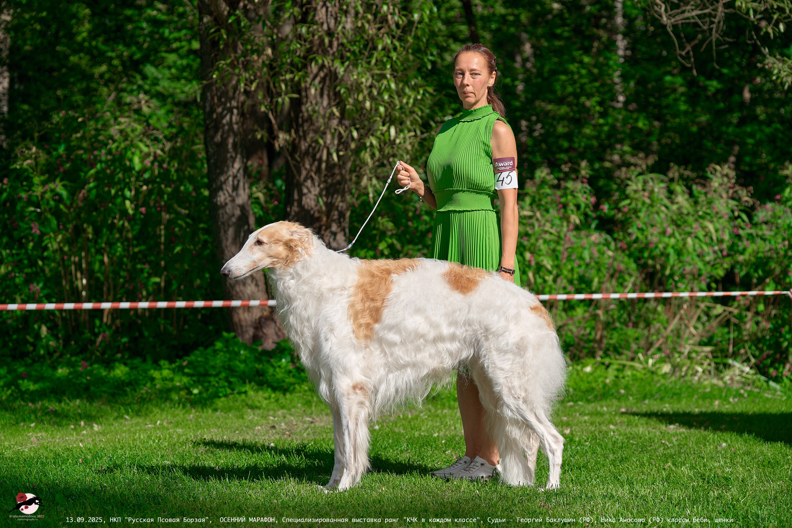 ОСЕННИЙ МАРАФОН | Специализированная выставка породы Русская Псовая Борзая ранг "КЧК в каждом классе"