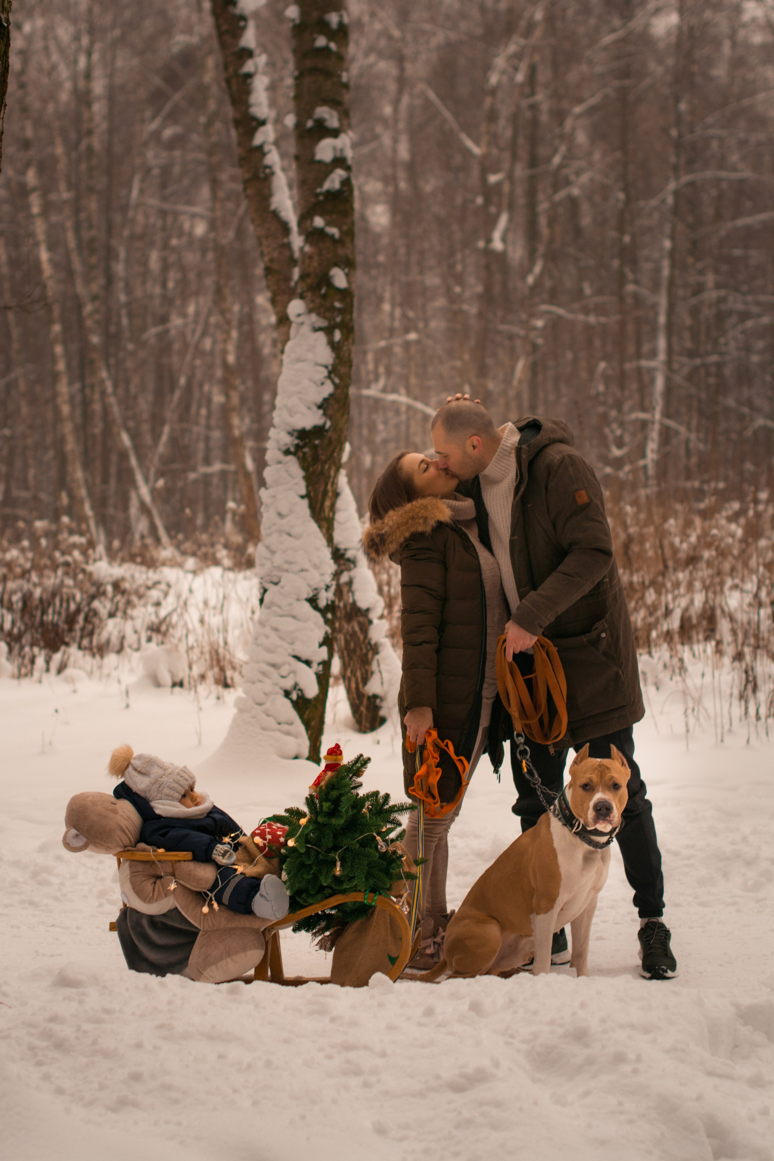 Прогулка в зимнем лесу. Парк Измайлово. Фотосессия беременности — Крылова Натали — Москва