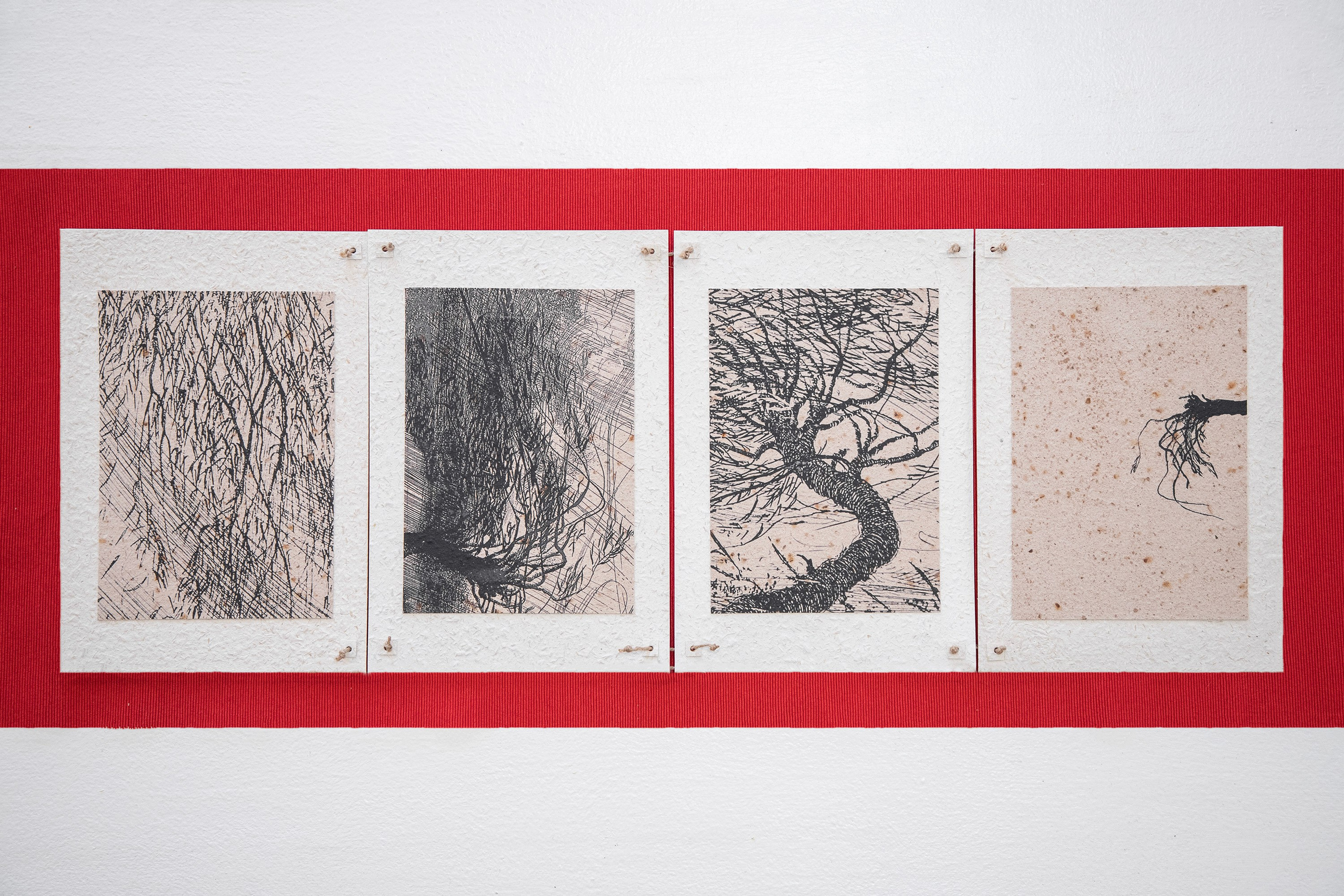 A Collection of Exercises (2023)