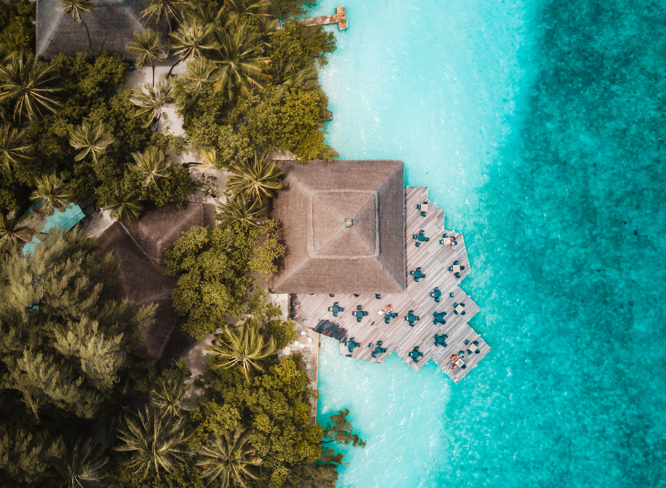 Туристическое агентство на Мальдивах — АЛГА