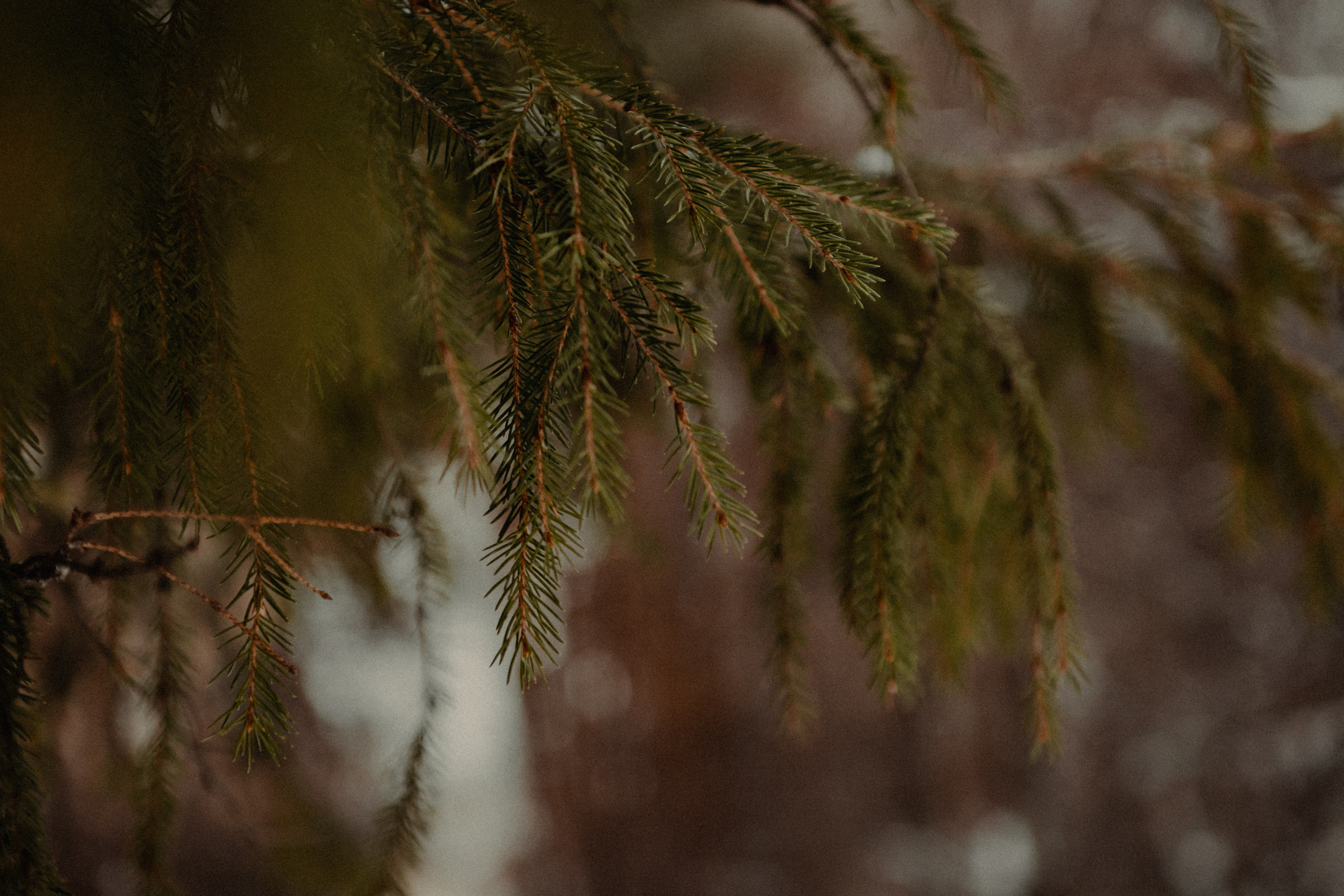 Зимняя фотосессия love story. Свадебный фотограф, Love Story Екатеринбург, Тюмень Кострова Елизавета