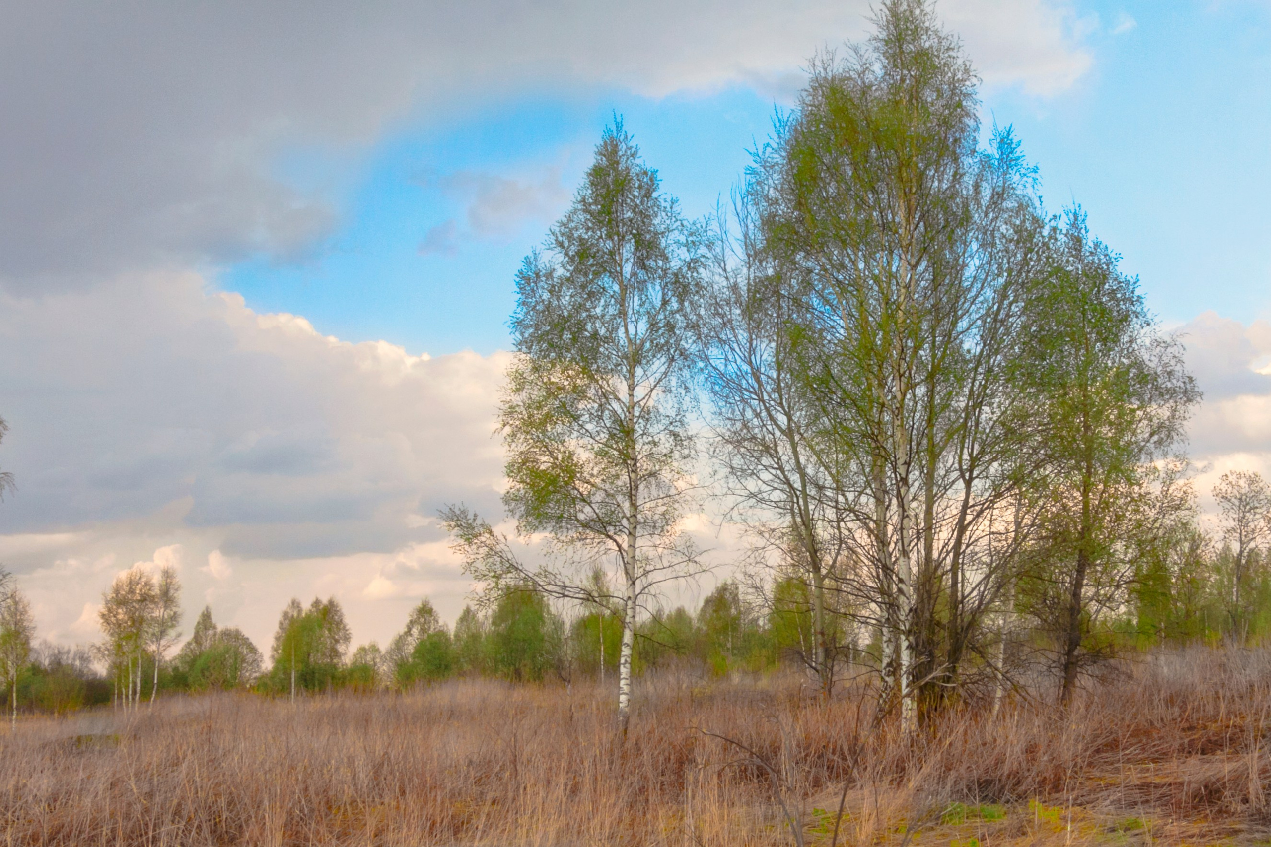 Тишина. Свадьбы, портретная, предметная съемка. Фотограф Александр К
