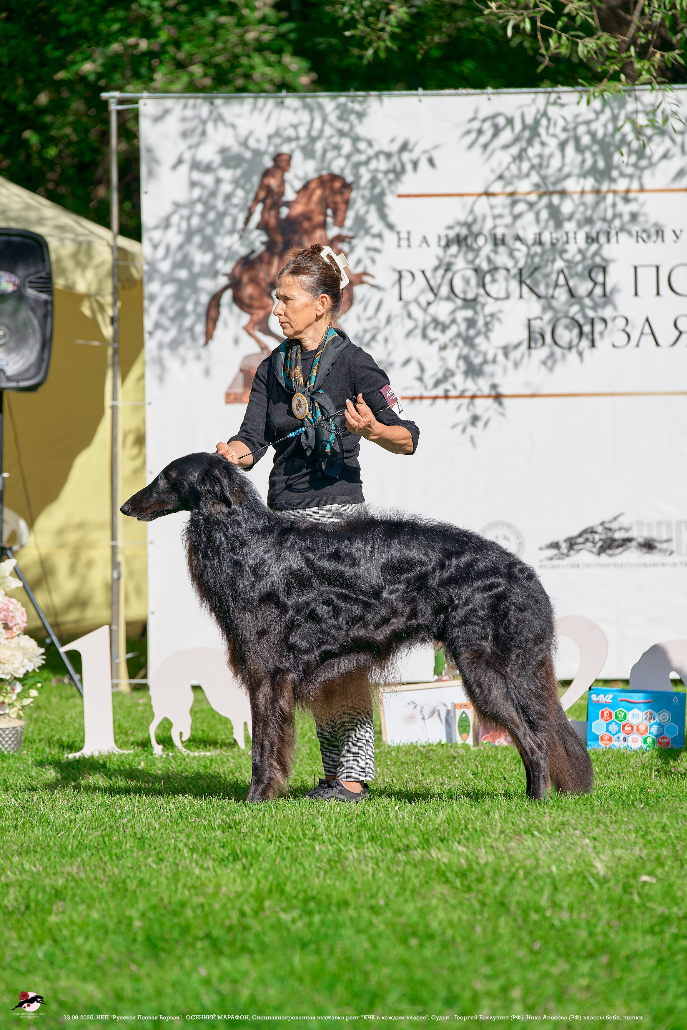 ОСЕННИЙ МАРАФОН | Специализированная выставка породы Русская Псовая Борзая ранг "КЧК в каждом классе"