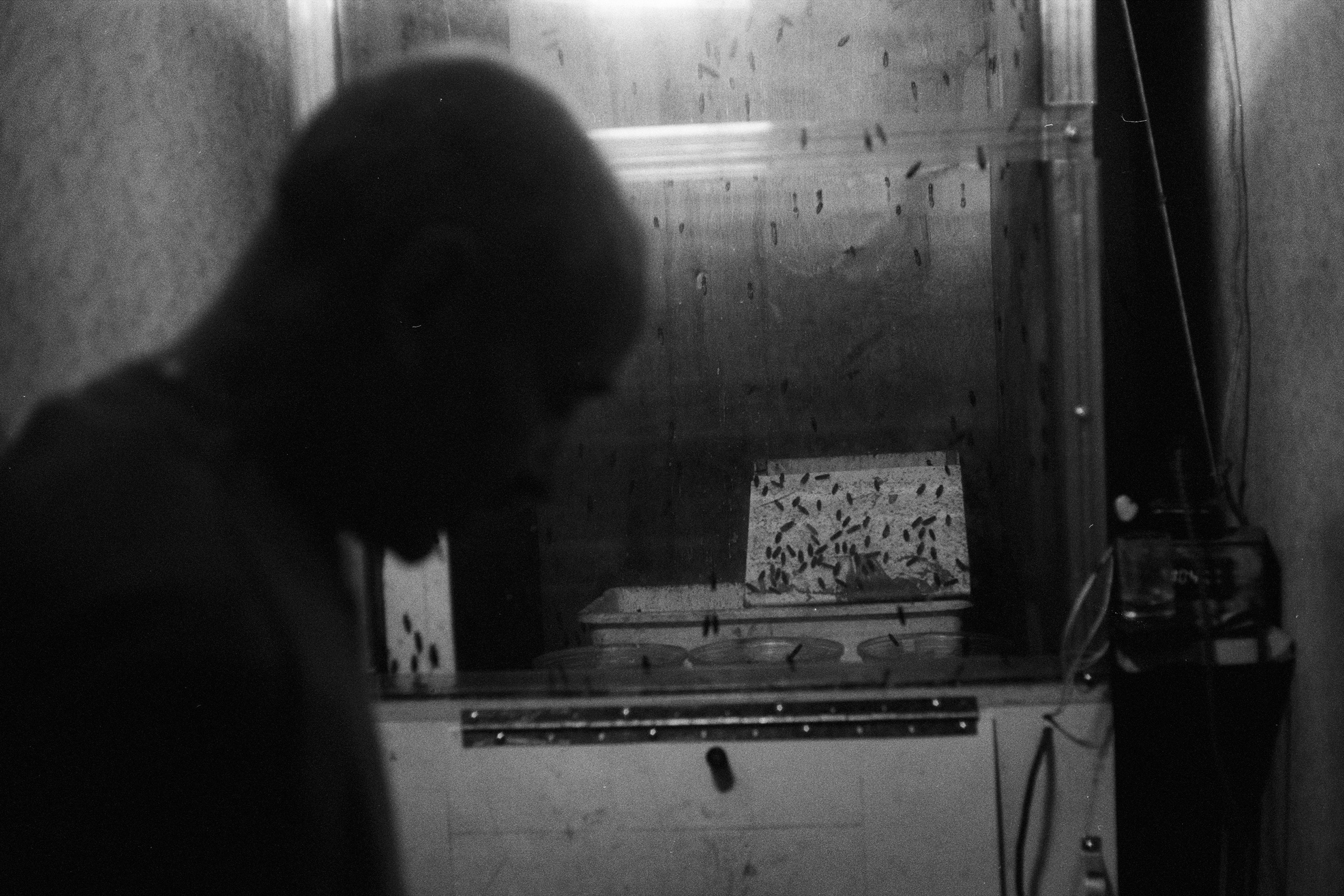 СОН О СЕЛЕ. SUVDO