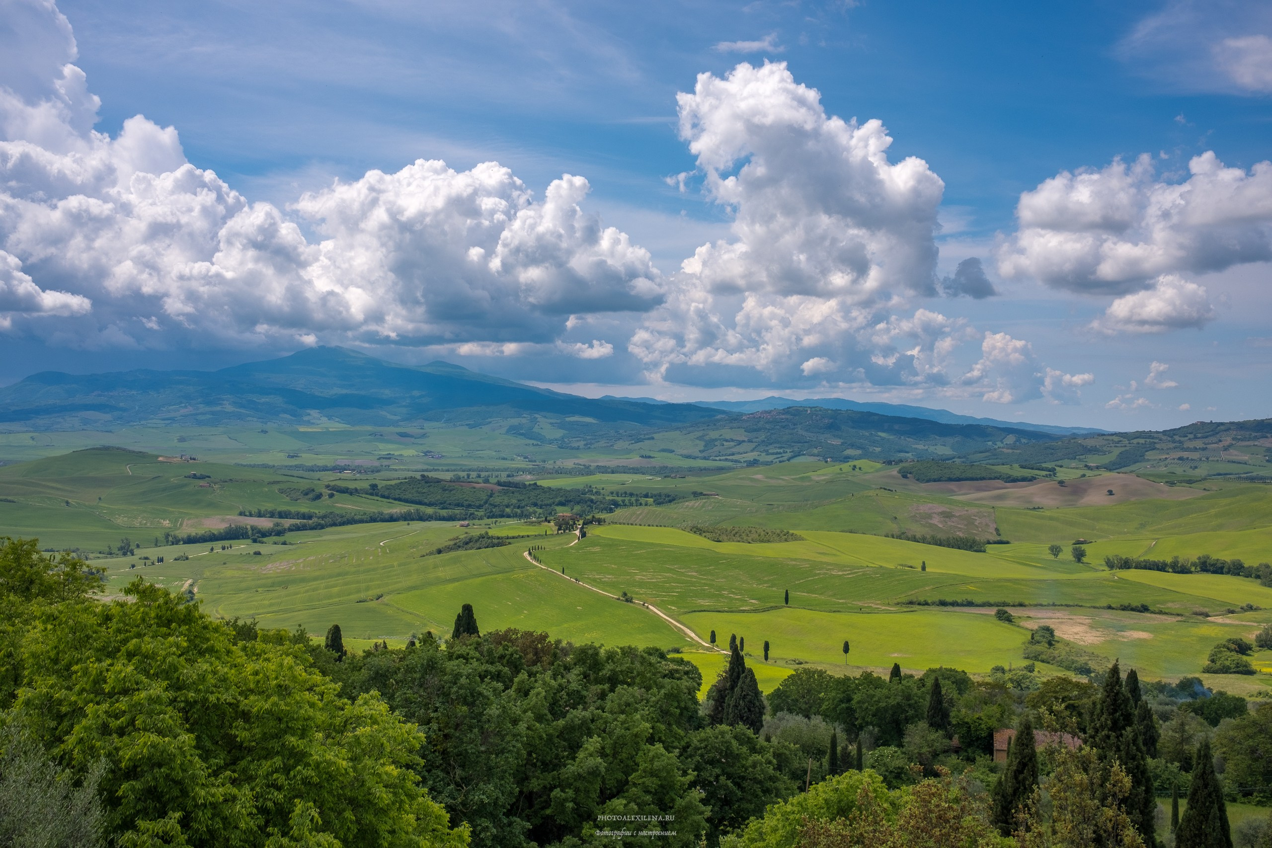 Путешествие сквозь красоту и вдохновение. Авторские стильные фотокартины