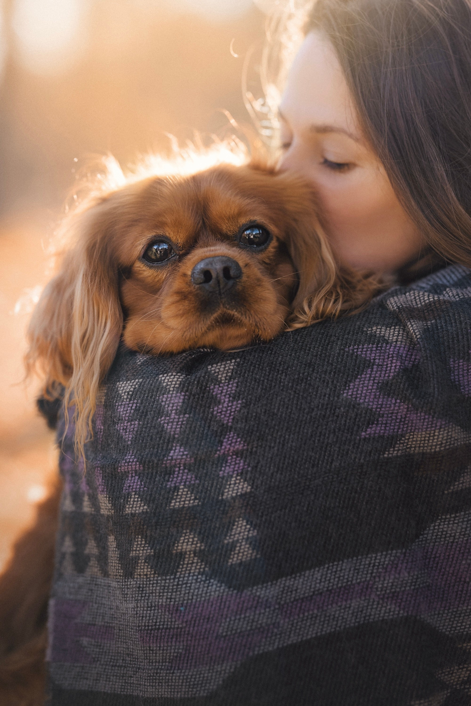 Обо мне. Фотограф анималист в Москве Ольга Агушева