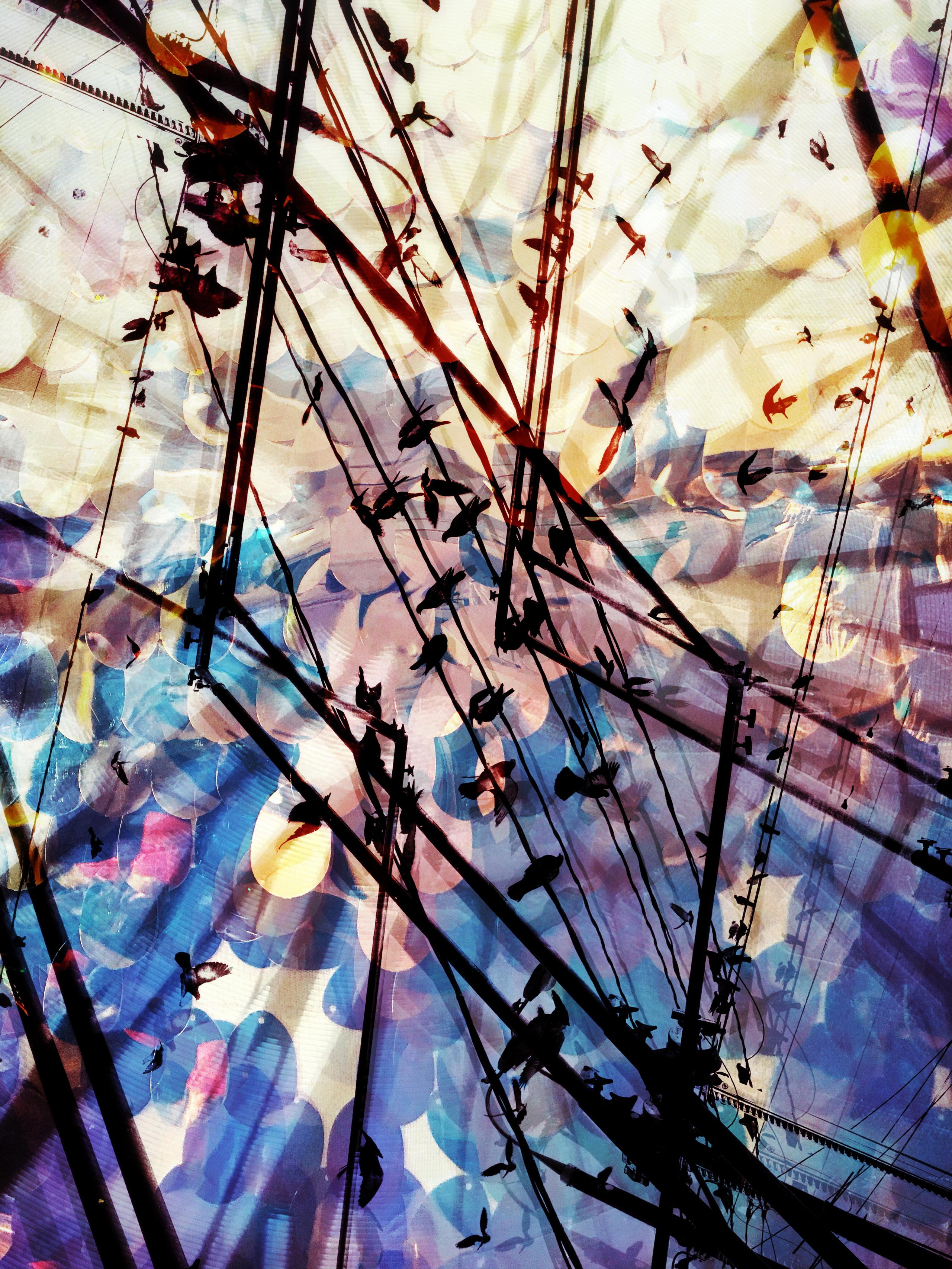 Art of now. See the moment and catche. commercial and reportage