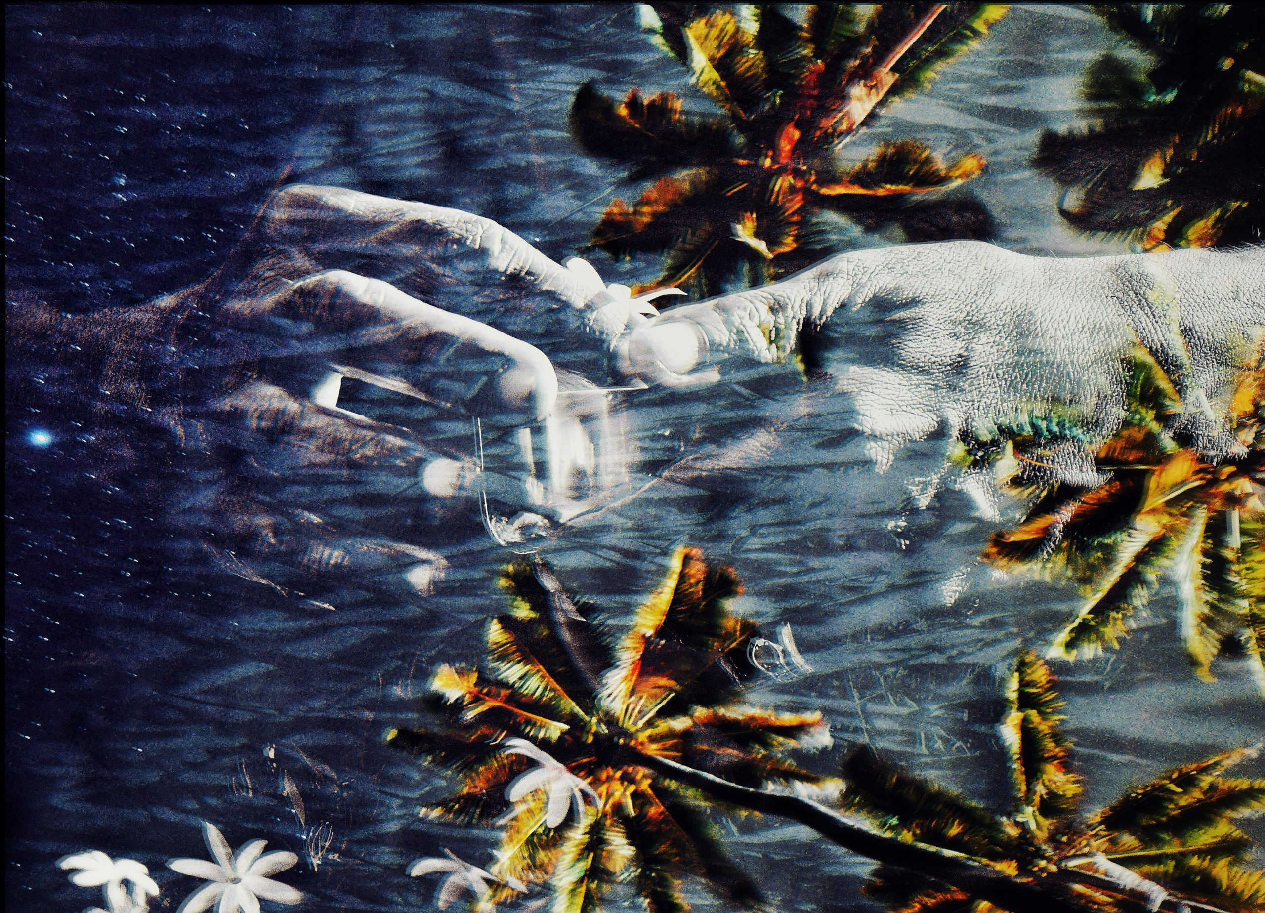 Art of now. See the moment and catche. commercial and reportage