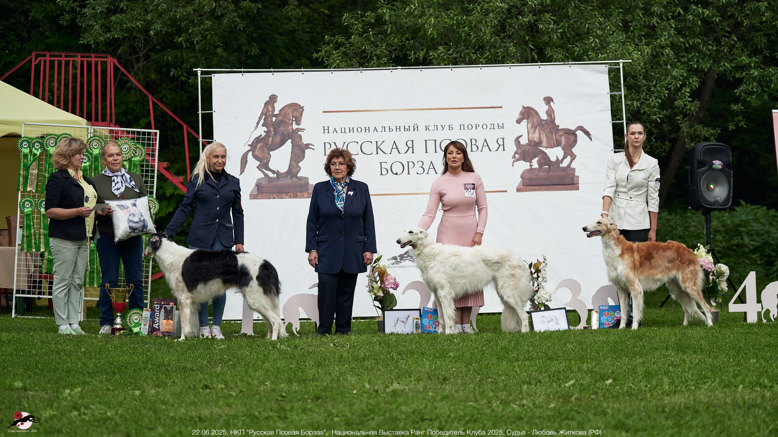 22.06.2025 | Национальная Выставка НКП "Русская Псовая Борзая"