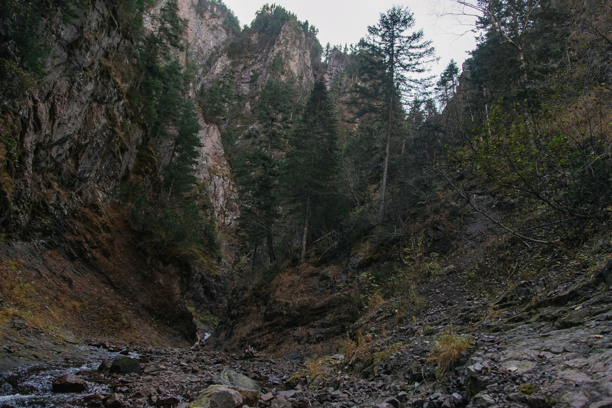 Пока не застроили. Evgeniya Kokurina