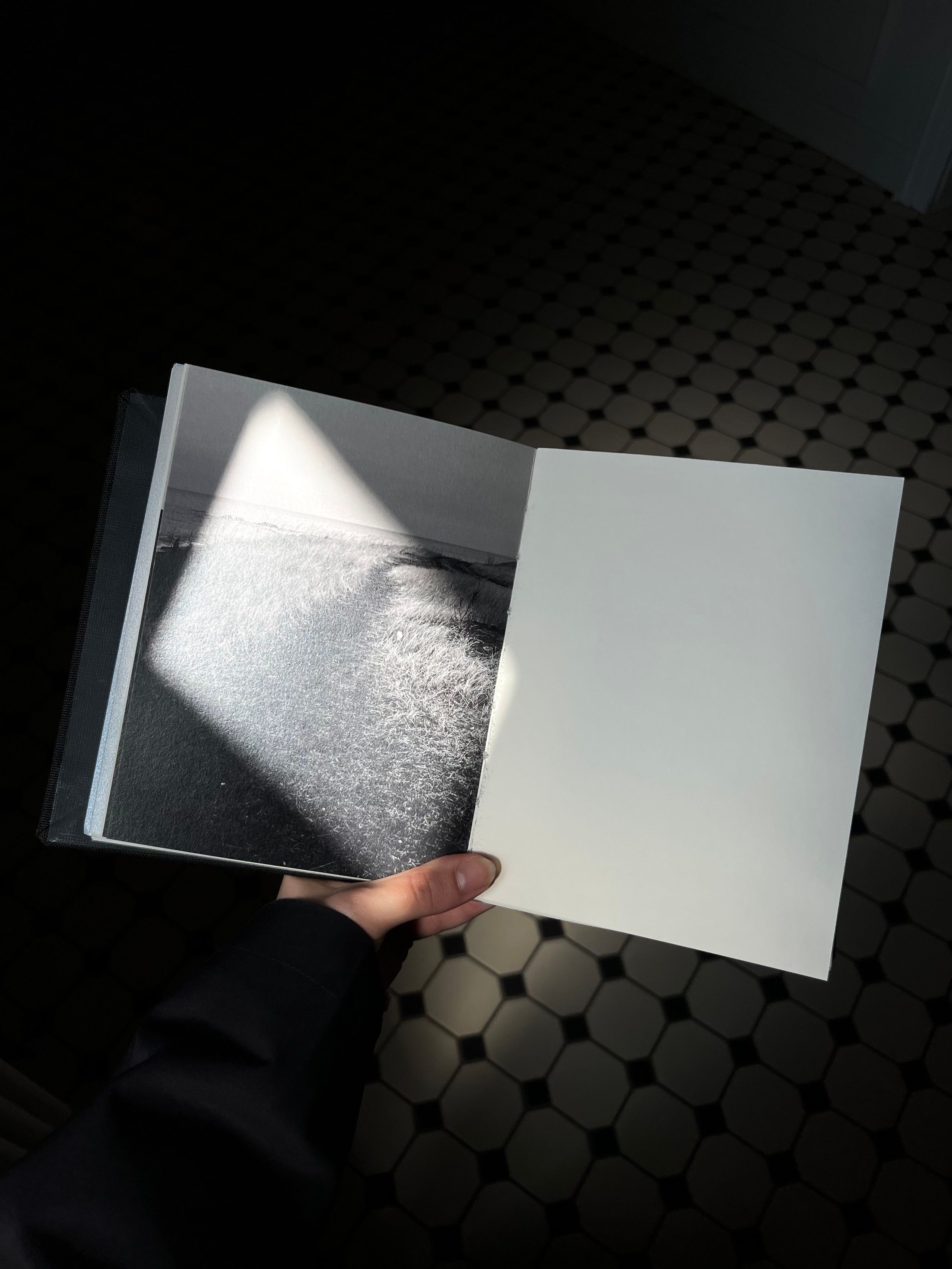 «В поисках»/ «Looking for» (2024). Morskyakanulavmorya