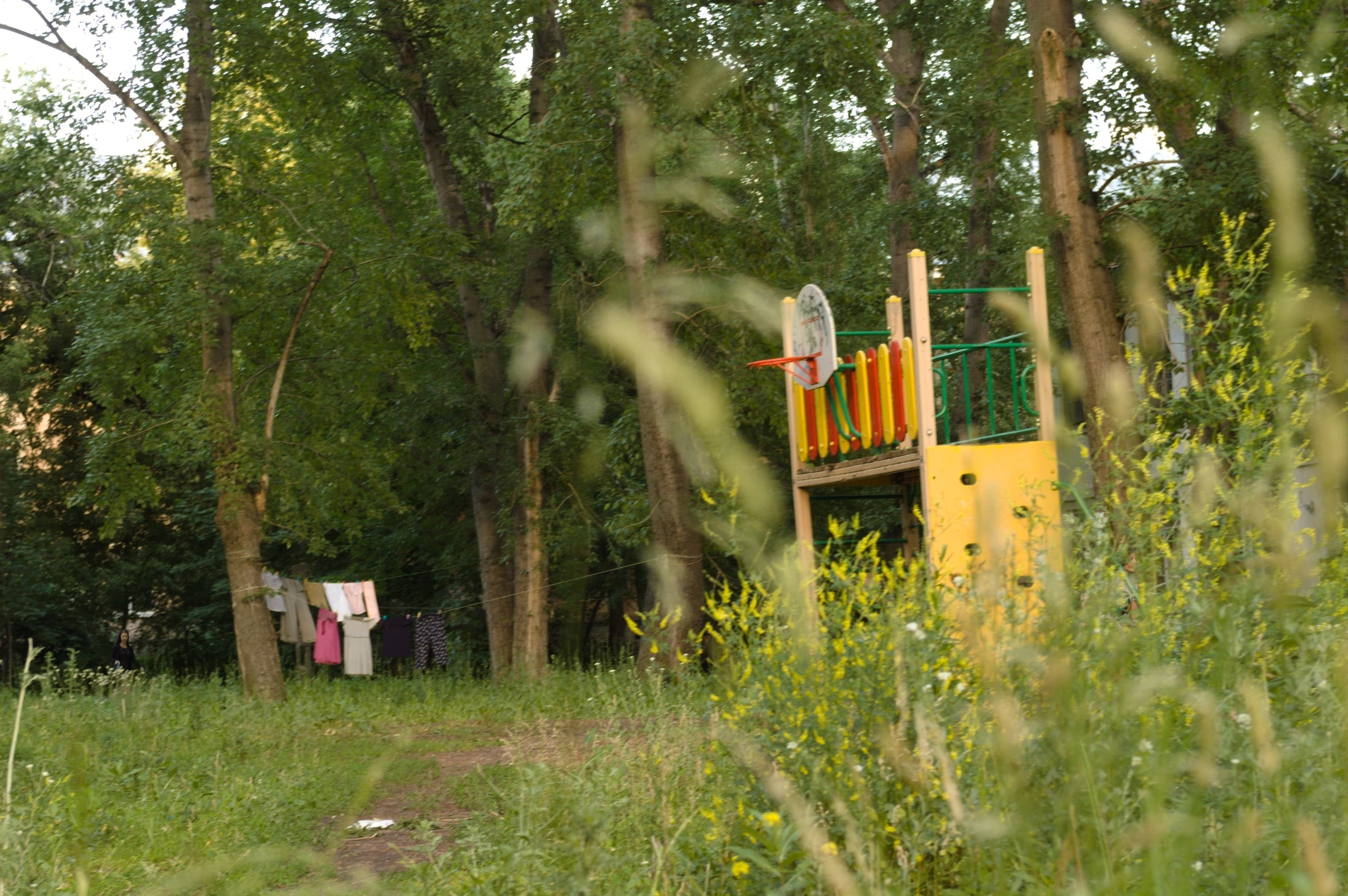 Childhood that ends. Художник Даля Бучионите