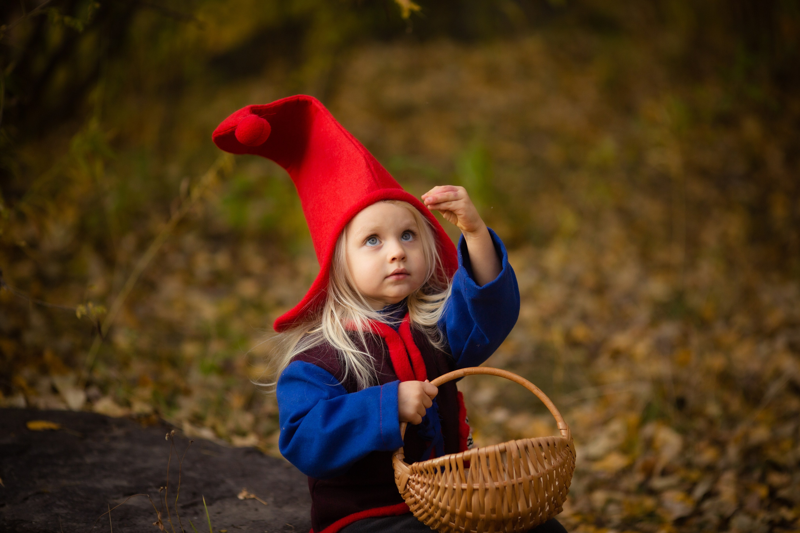 Лесные гномы