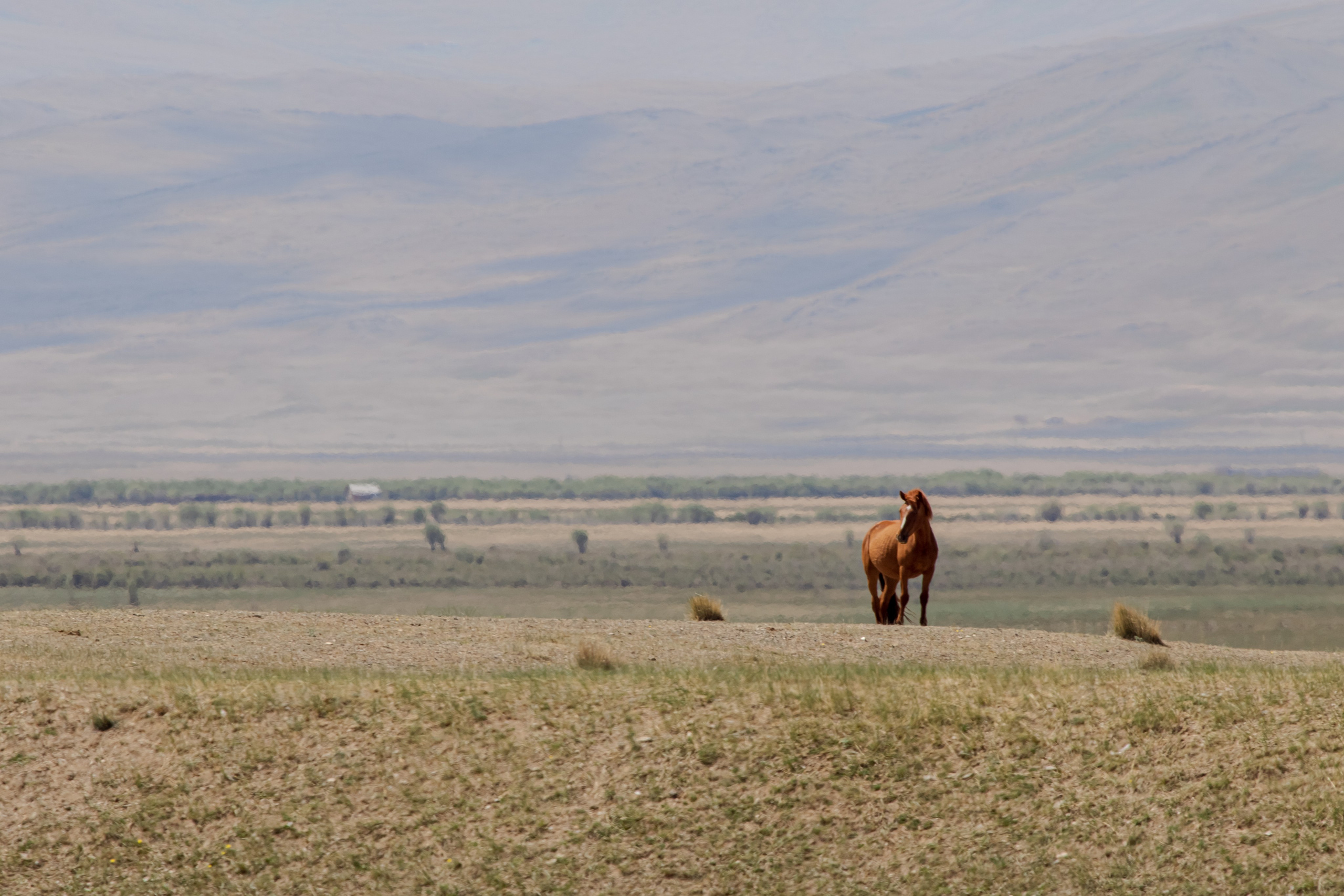 Горный Алтай. Фотограф Кирилл Мешков Кемерово