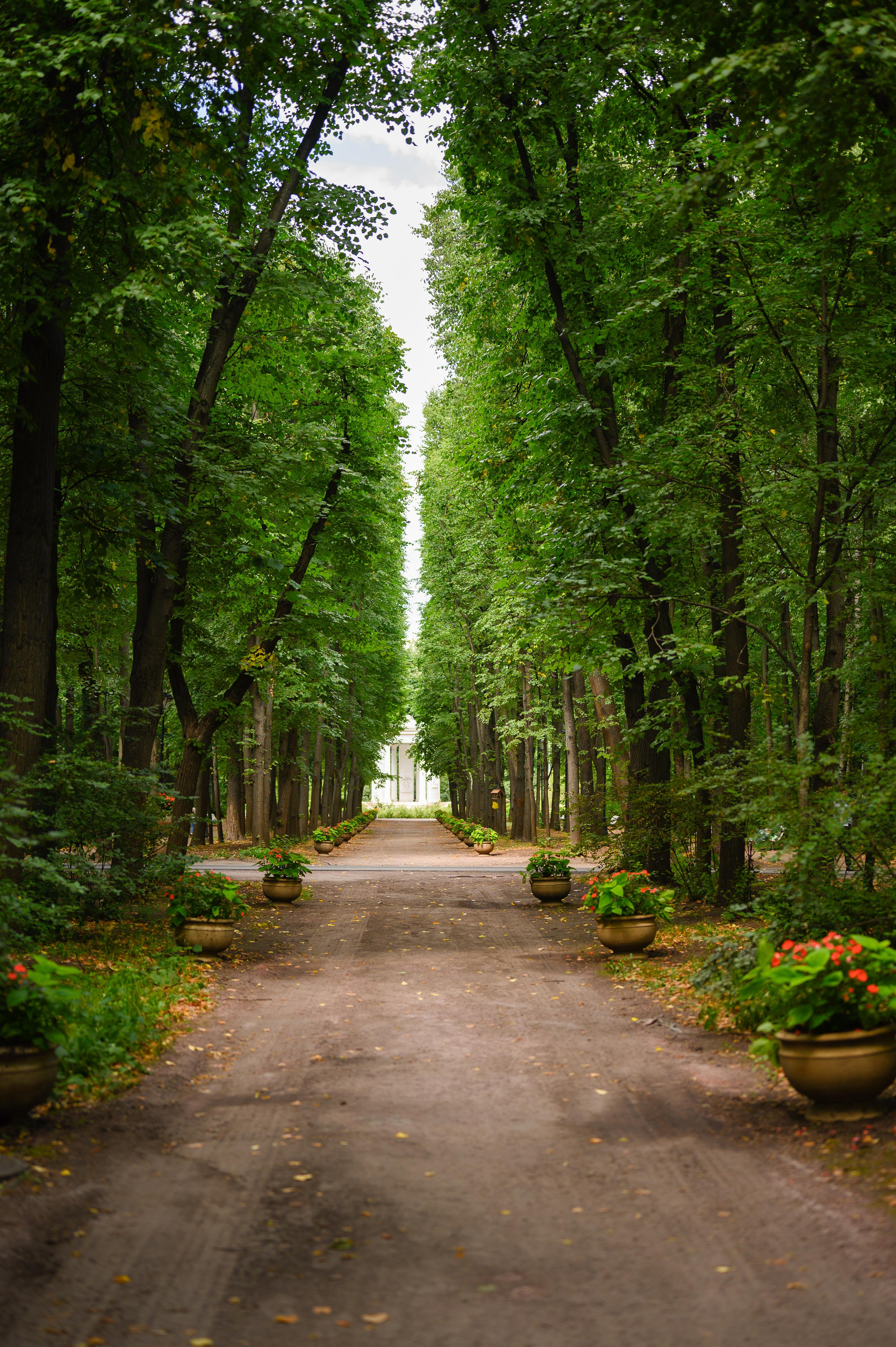 Лучшие места для свадебной съемки и прогулки в Москве. Часть 2. Свадебный видеограф в Москве Никонова Анна