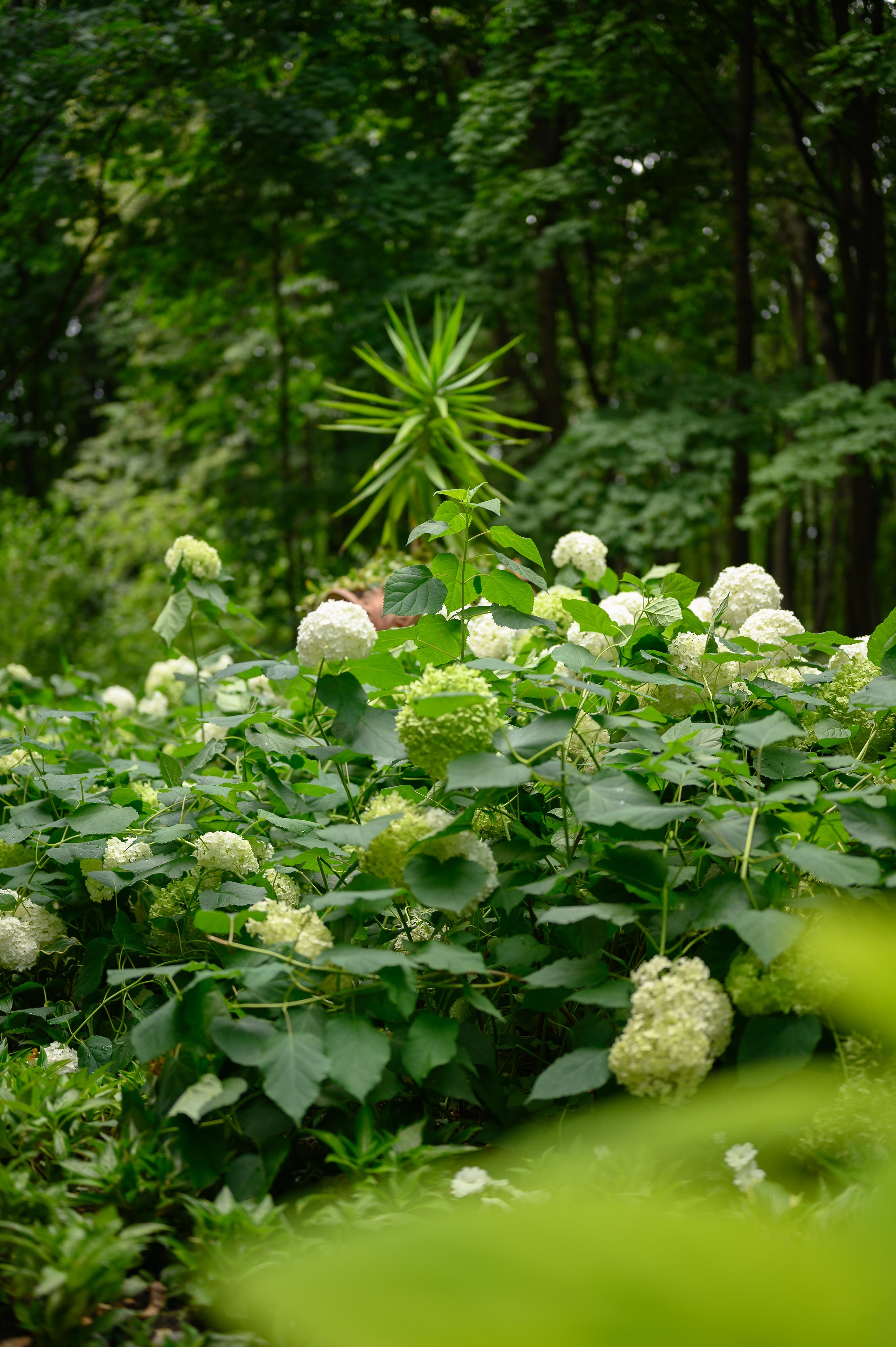 Лучшие места для свадебной съемки и прогулки в Москве. Часть 2. Свадебный видеограф в Москве Никонова Анна