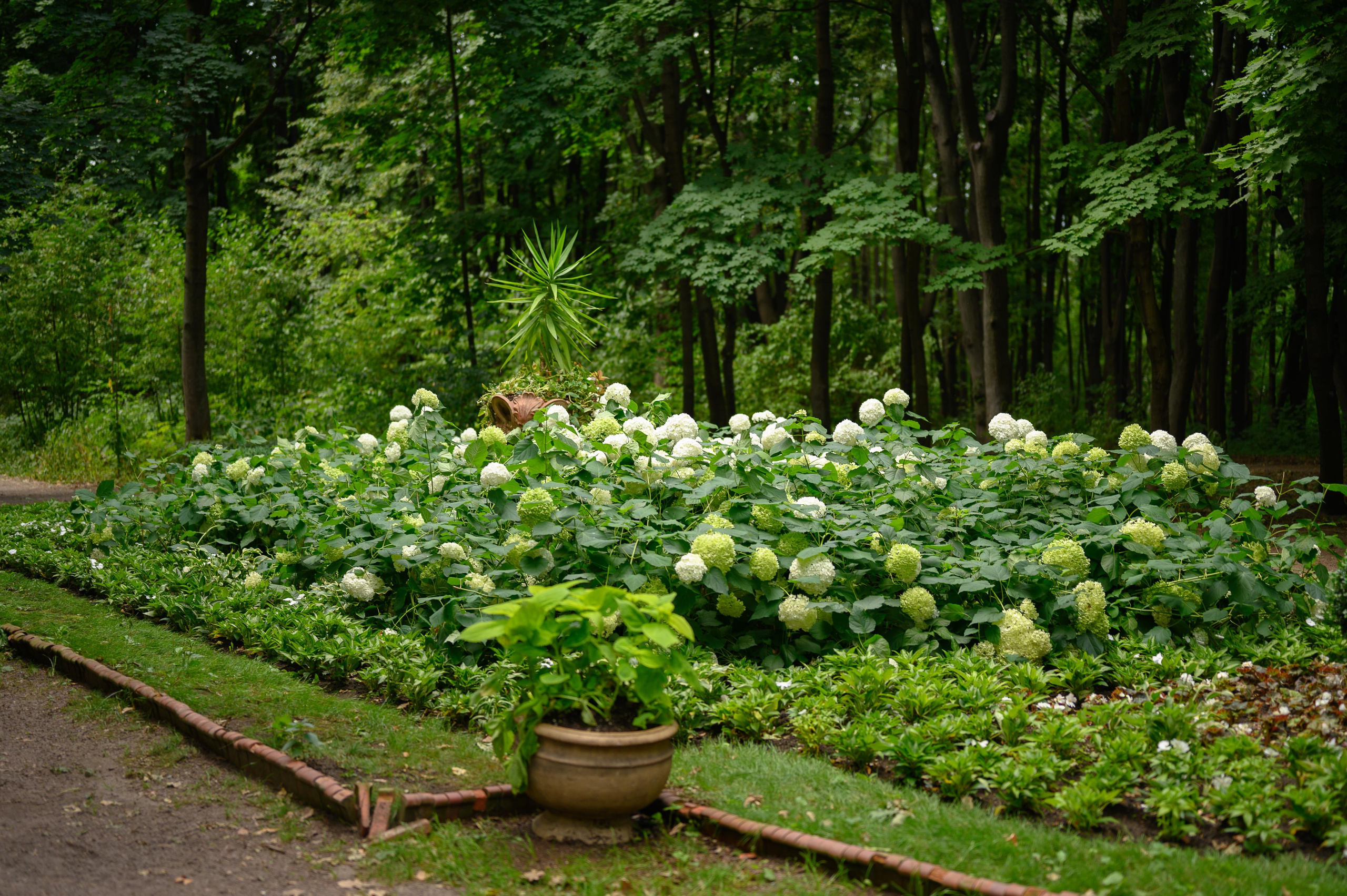 Лучшие места для свадебной съемки и прогулки в Москве. Часть 2. Свадебный видеограф в Москве Никонова Анна