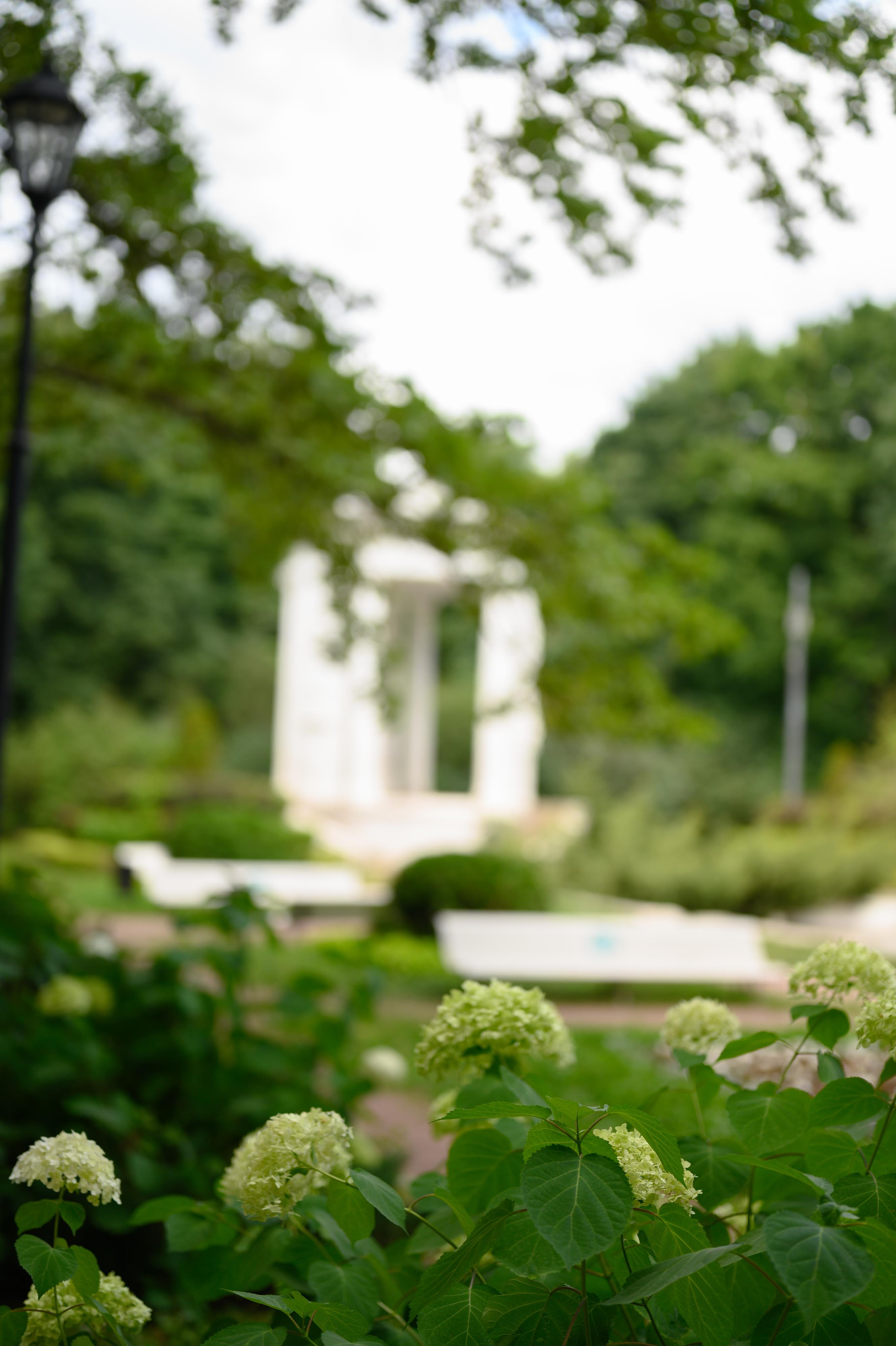 Лучшие места для свадебной съемки и прогулки в Москве. Часть 2. Свадебный видеограф в Москве Никонова Анна