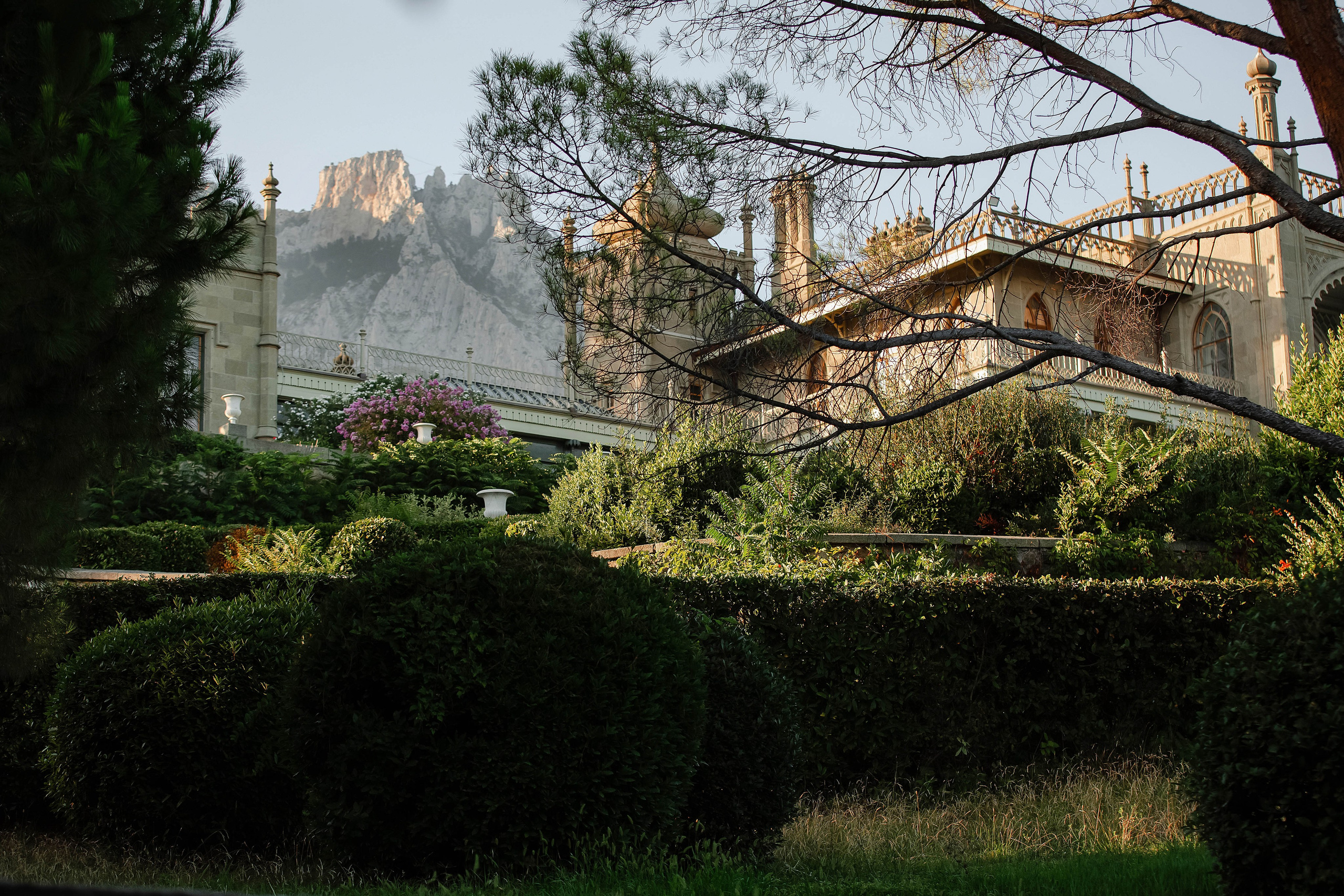 Папильон в Воронцовском дворце. Фотограф-анималист в Краснодаре Маша Мельникова