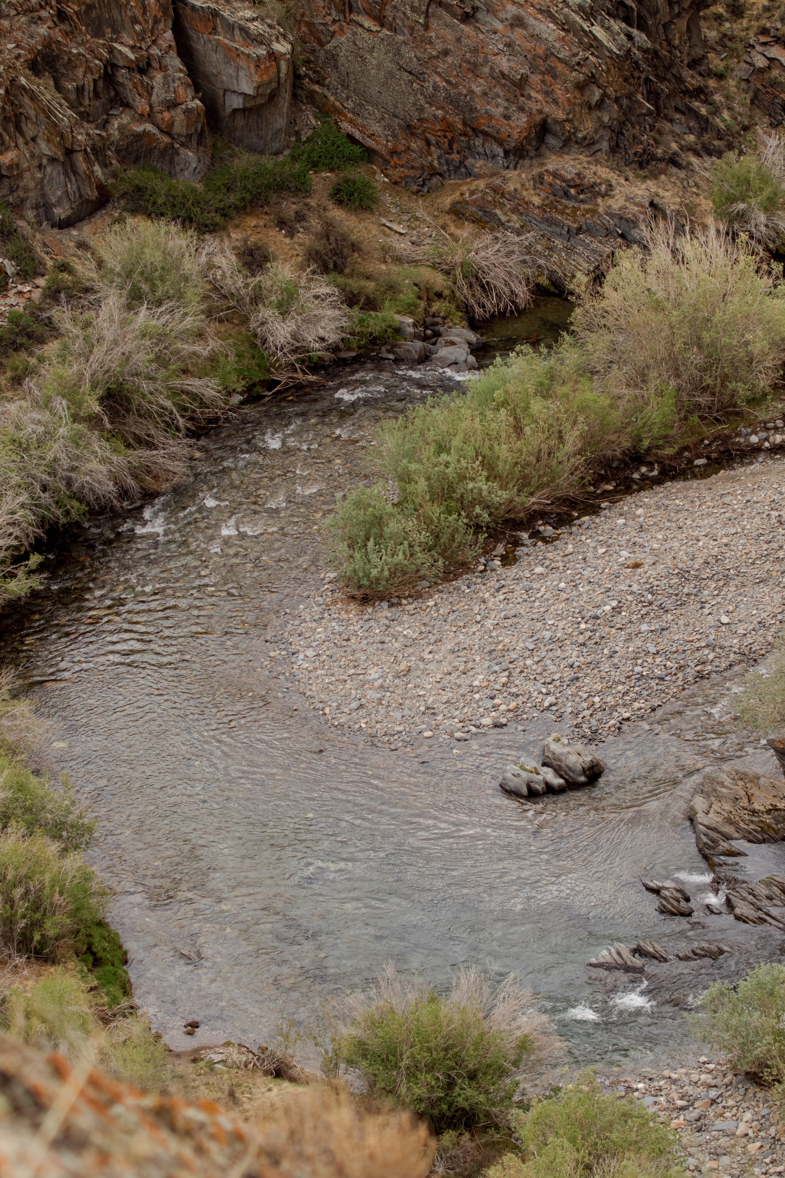 Горный Алтай. Фотограф Кирилл Мешков Кемерово