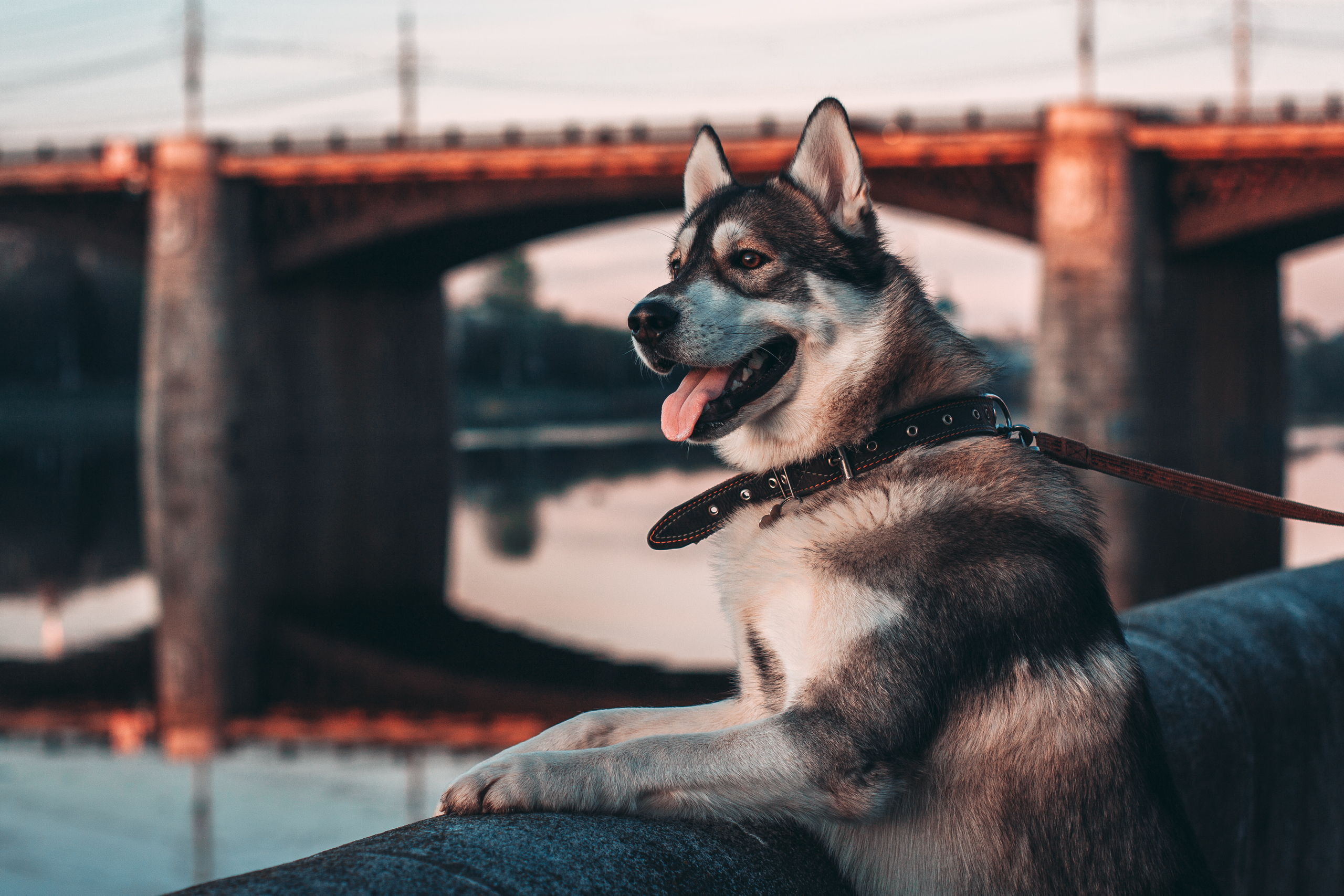 Артем Ершов. Фотограф, Тверь