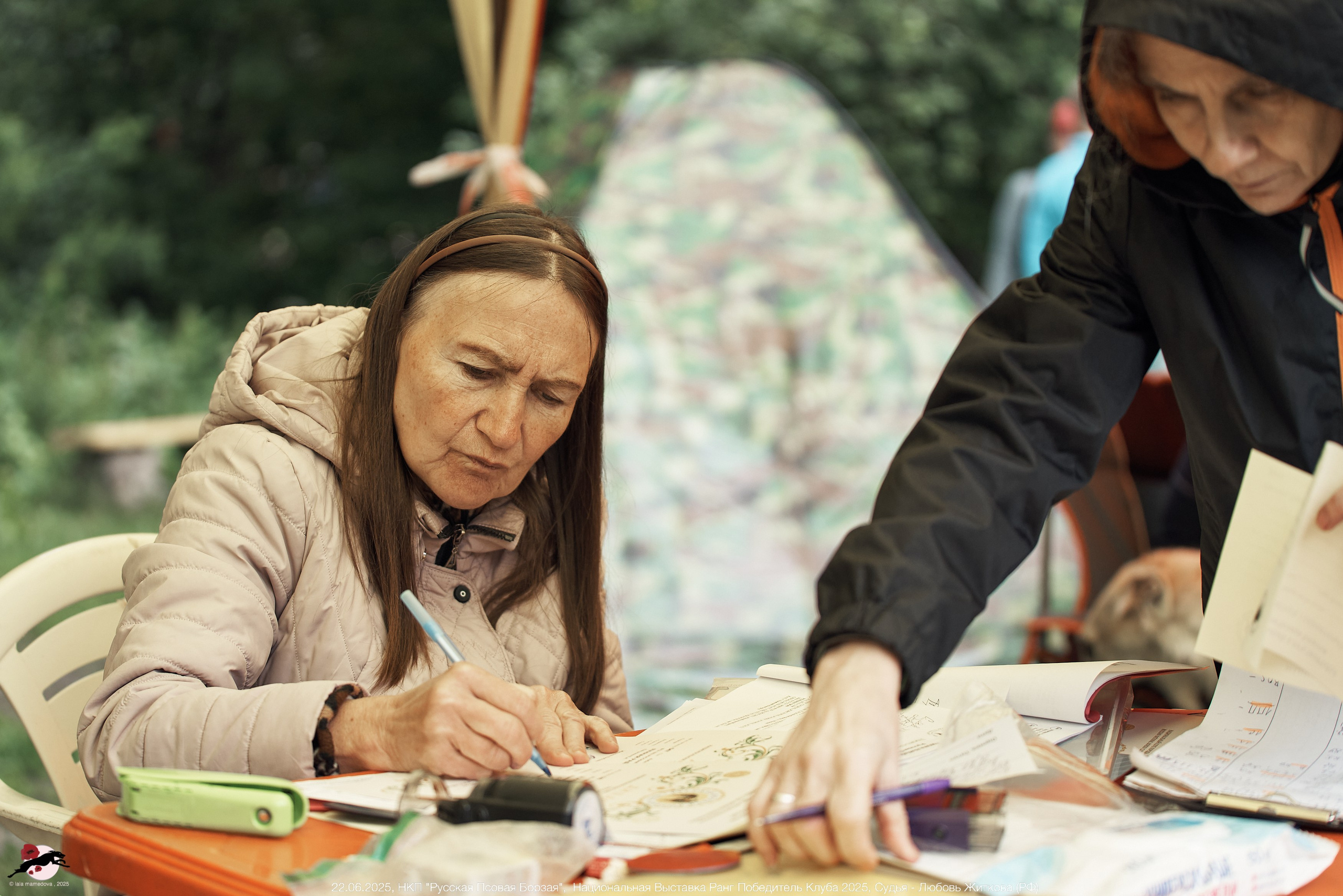 22.06.2025 | Национальная Выставка НКП "Русская Псовая Борзая"