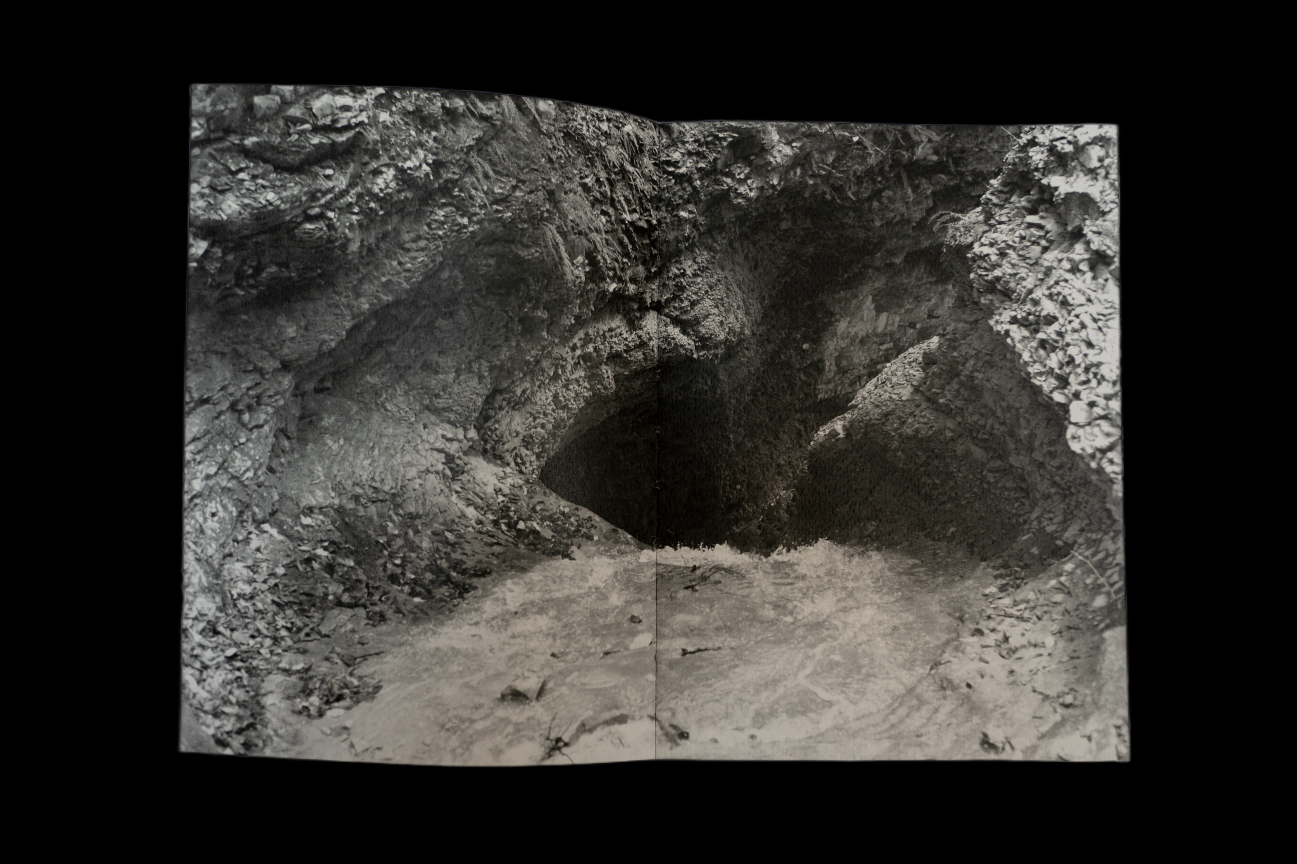 Затмение. Катрин Эдельвак