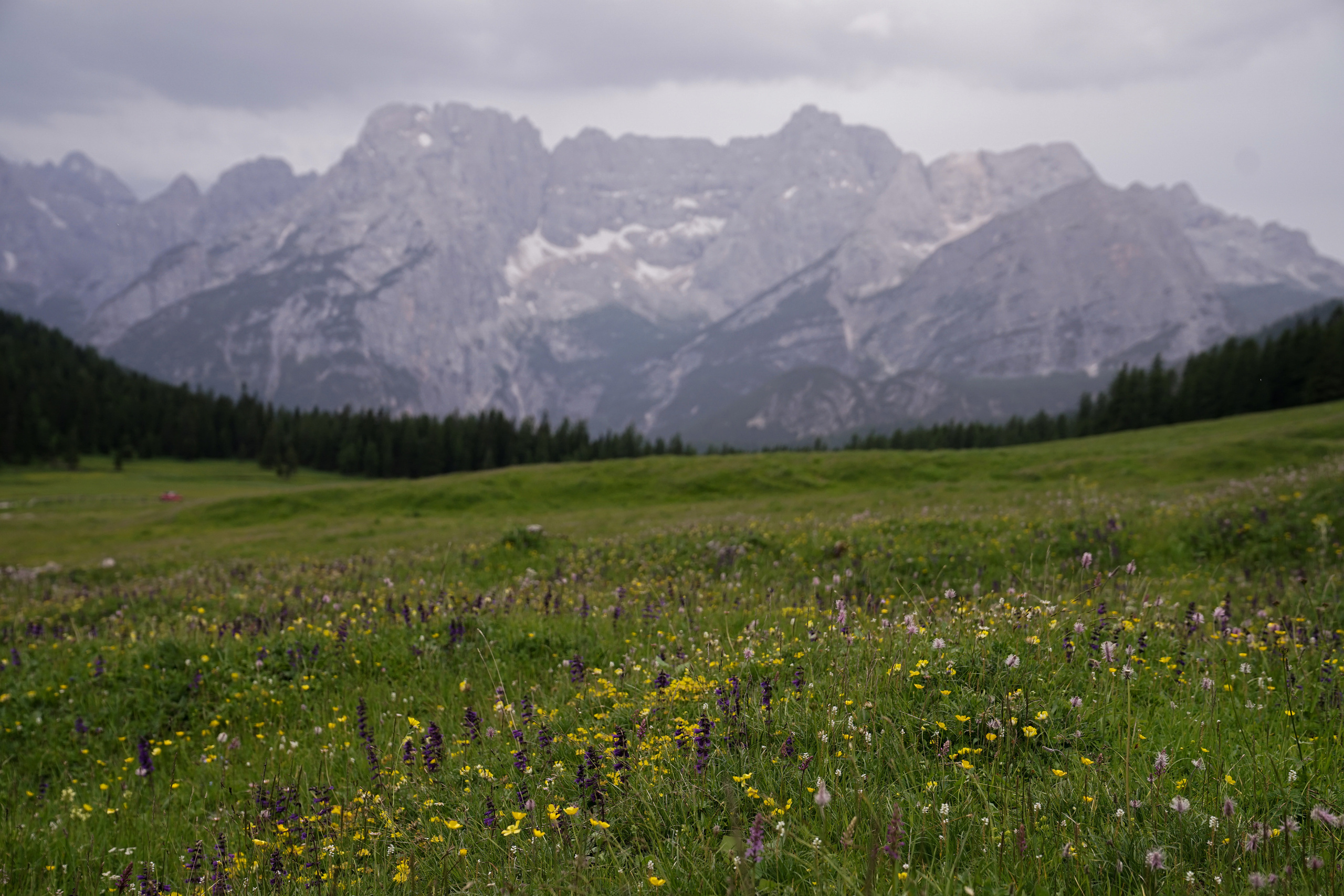 Italy. Photograph and videograph in Israel