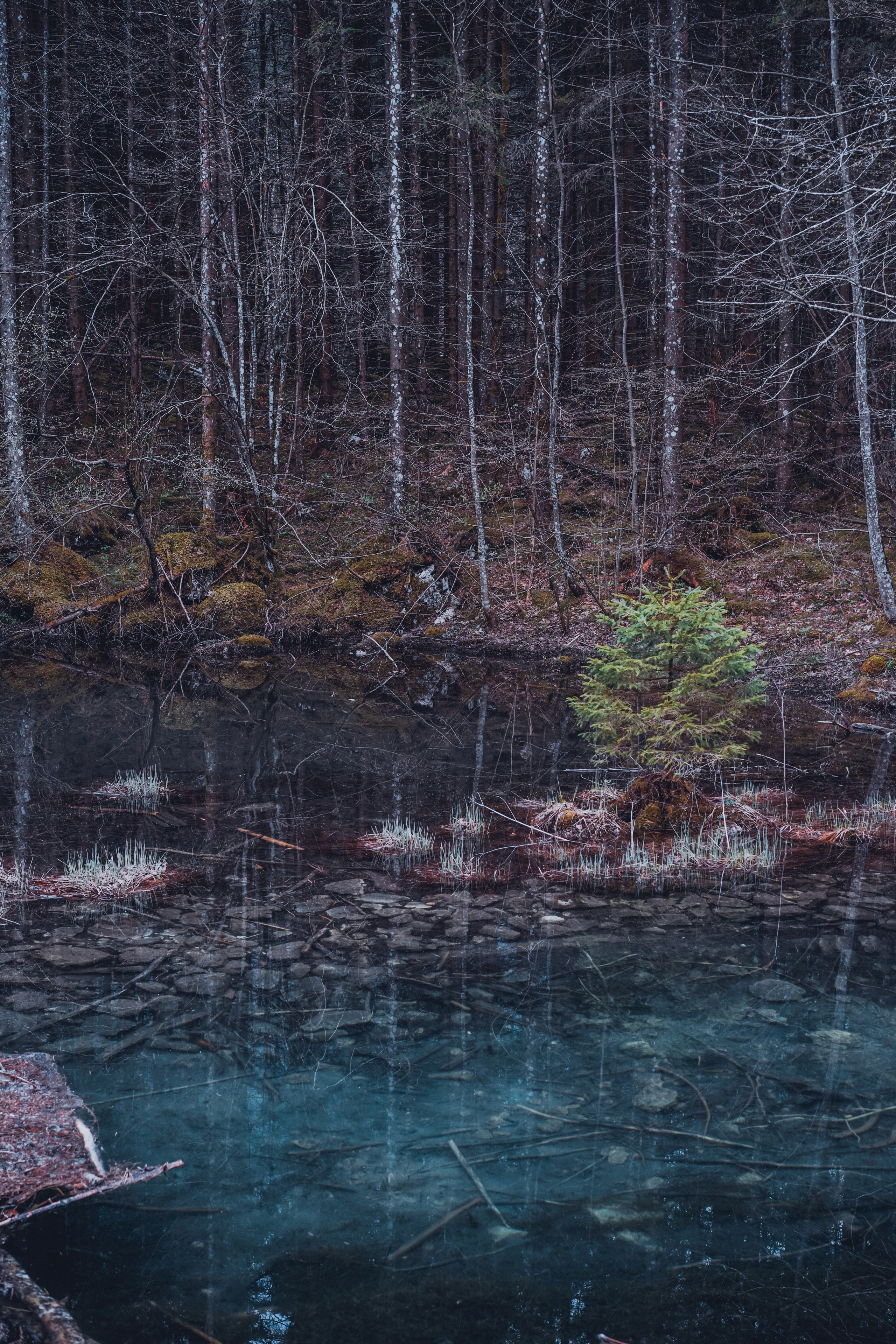 Austria. Фотограф и видеограф в Израиле Соня Скай