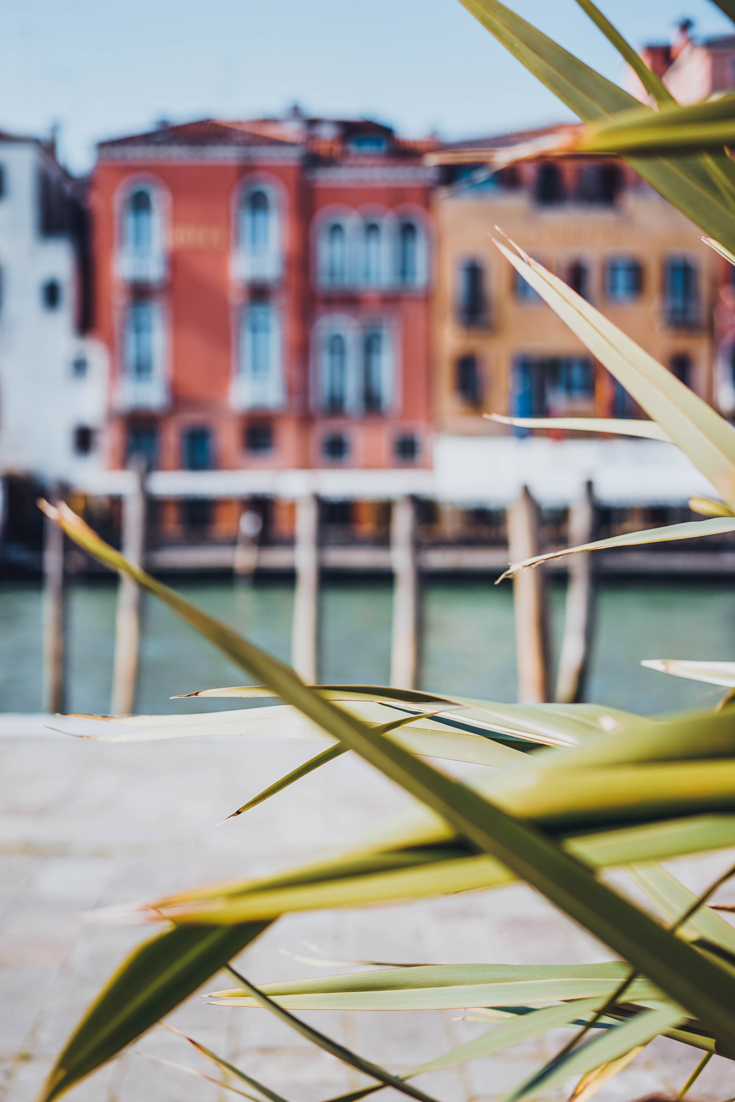 Italy. Photograph and videograph in Israel