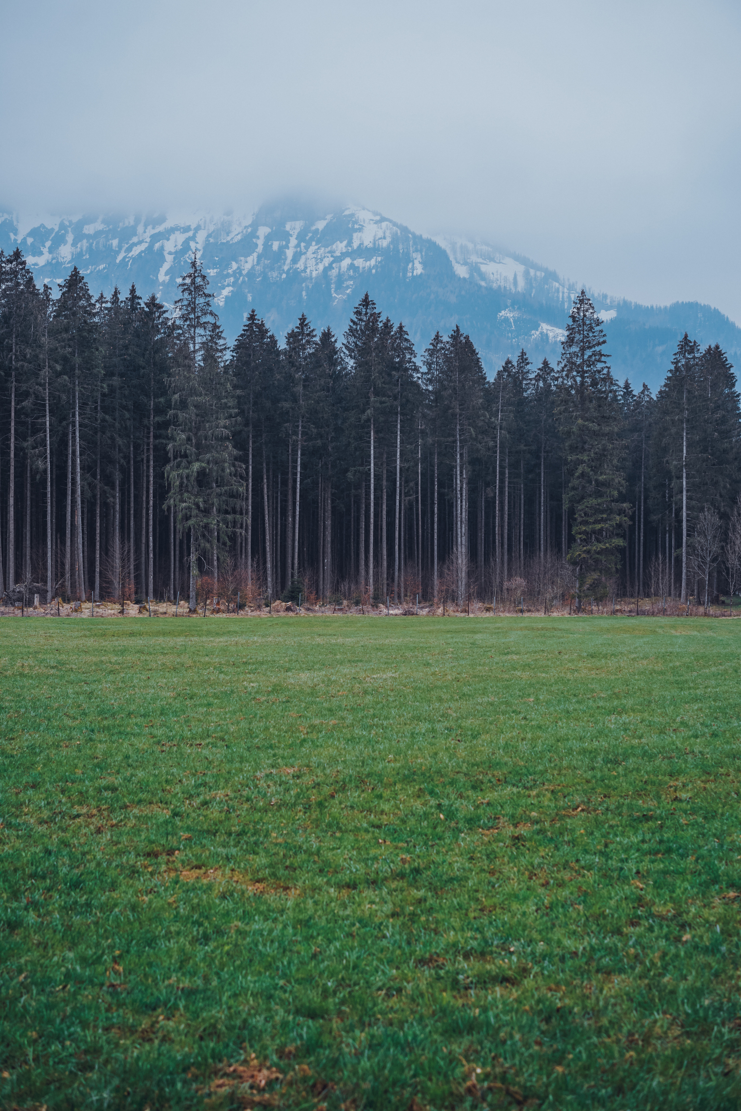 Austria. Фотограф и видеограф в Израиле Соня Скай