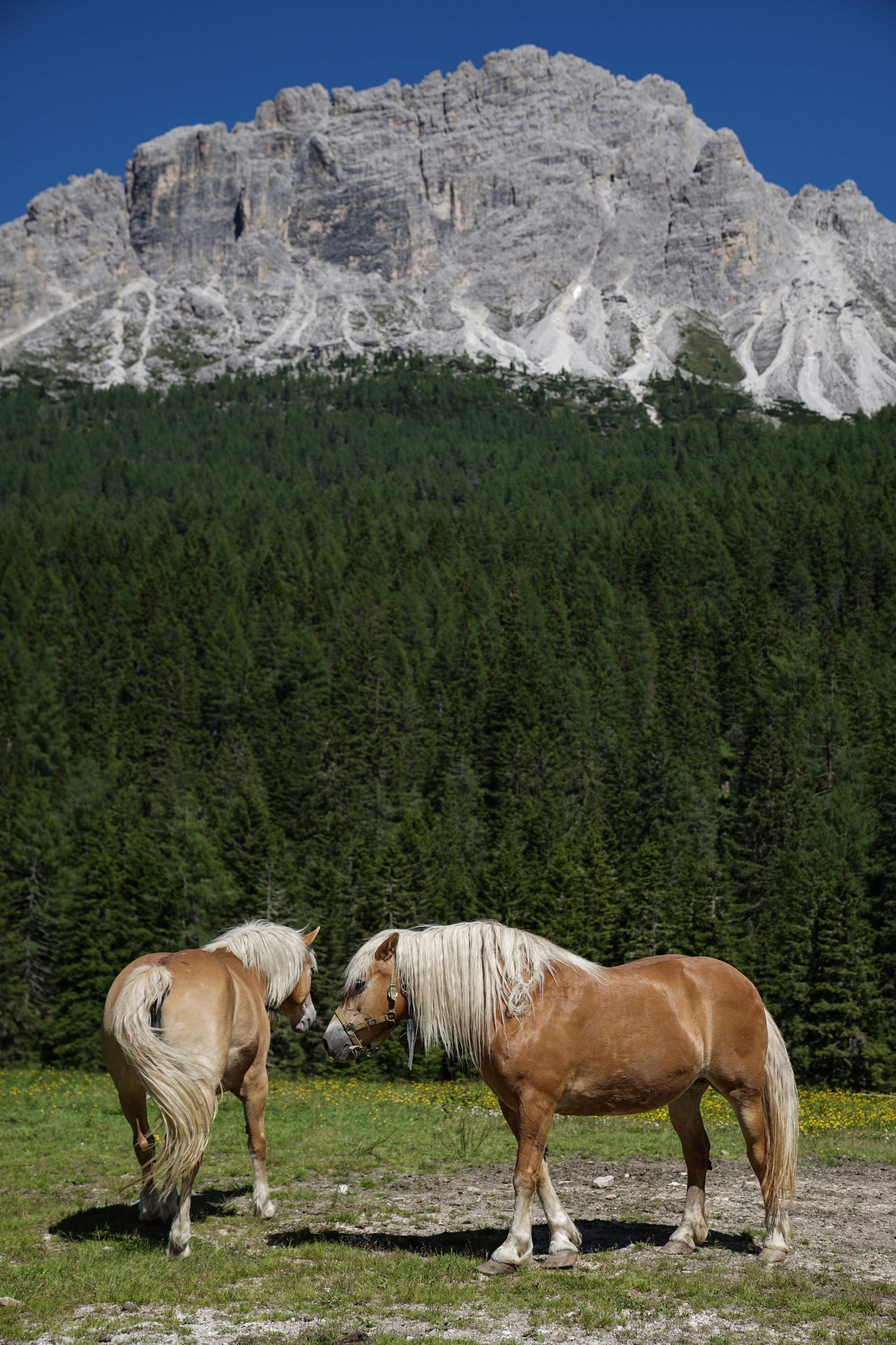 Italy. Photograph and videograph in Israel