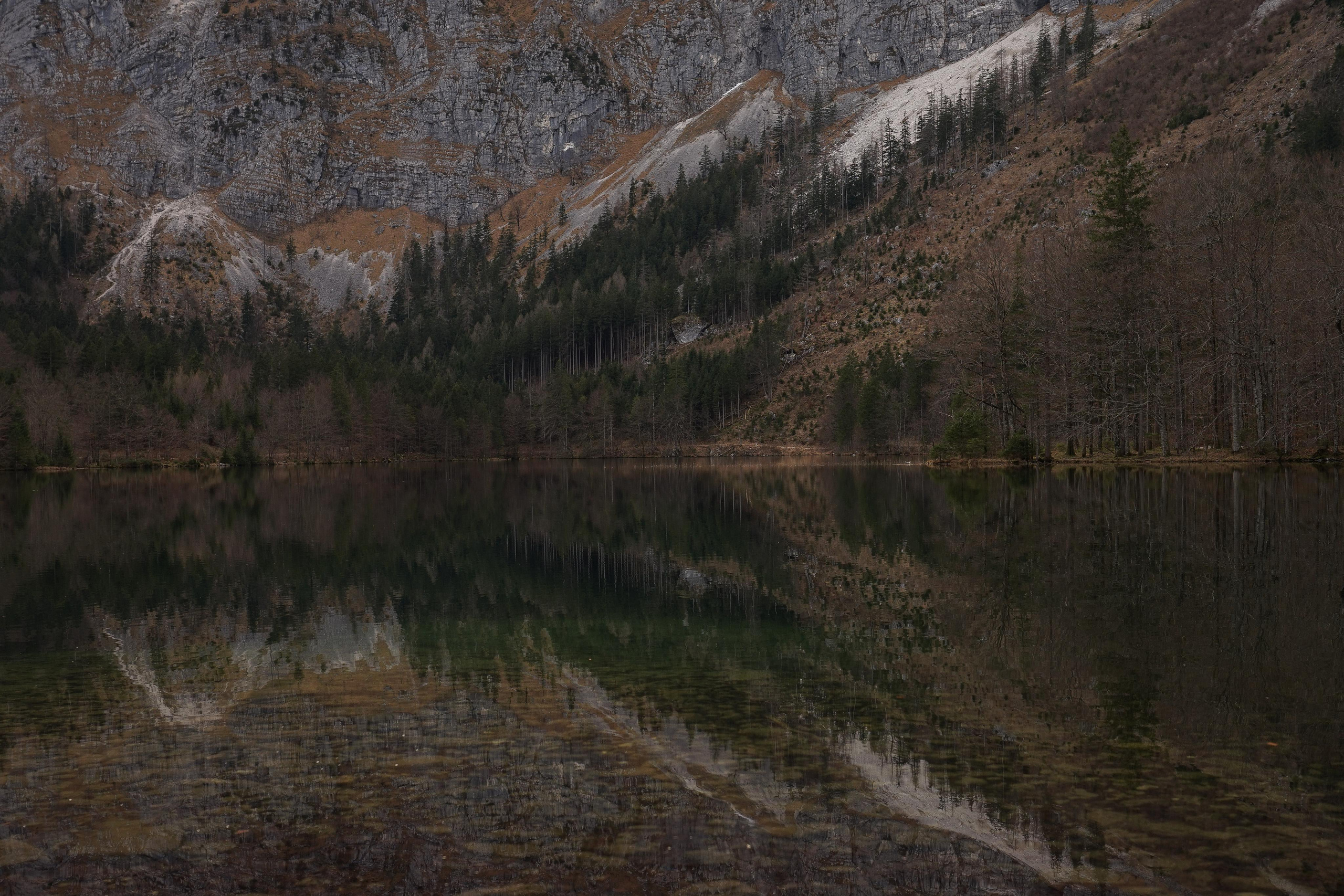 Austria. Фотограф и видеограф в Израиле Соня Скай
