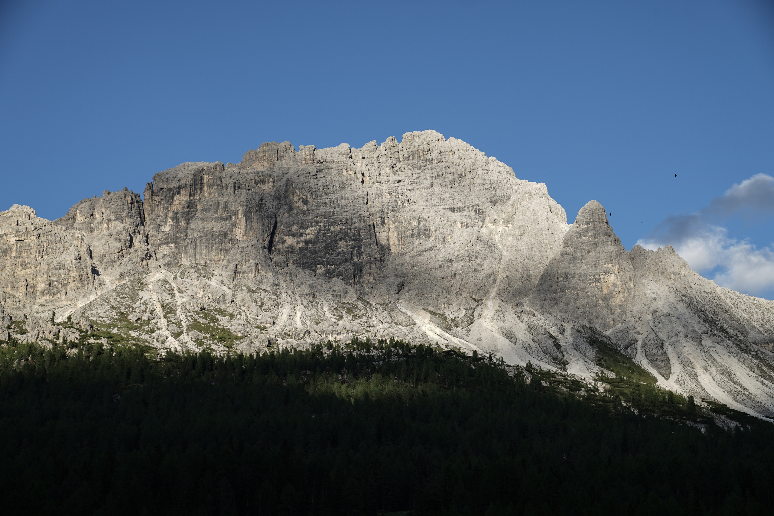 Italy. Photograph and videograph in Israel