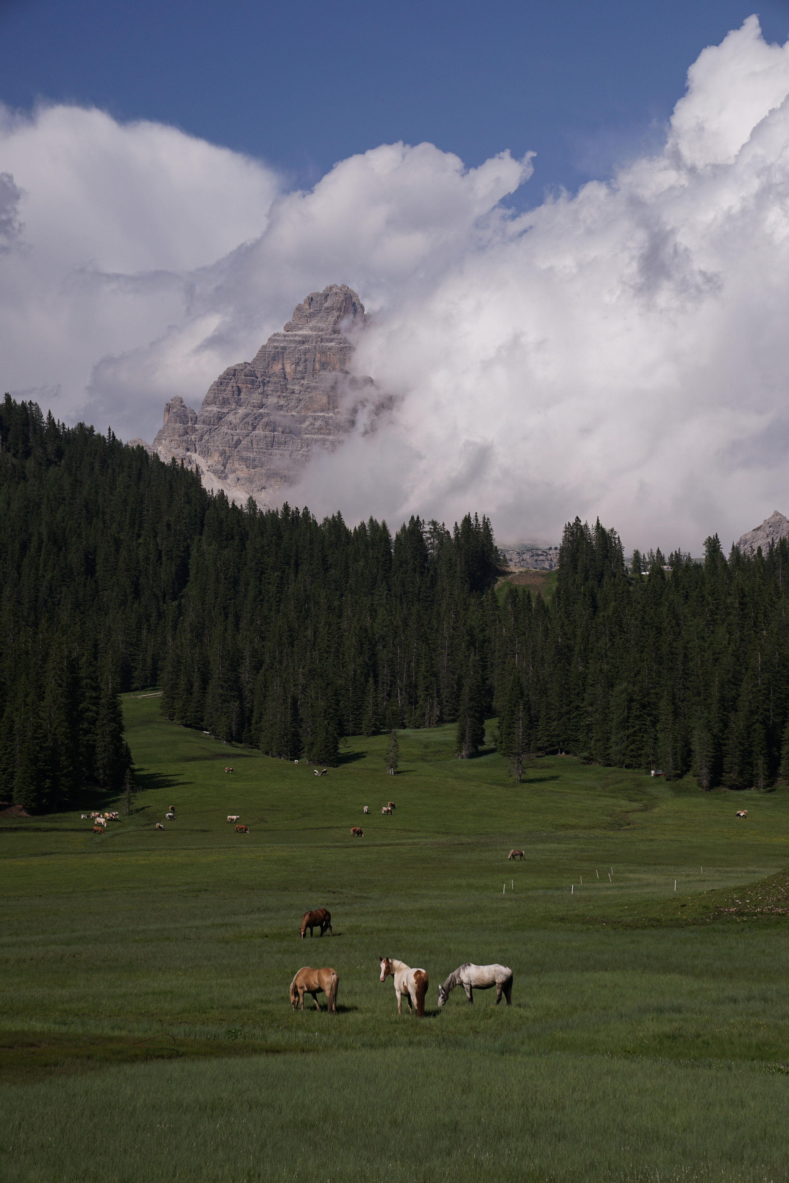 Italy. Photograph and videograph in Israel