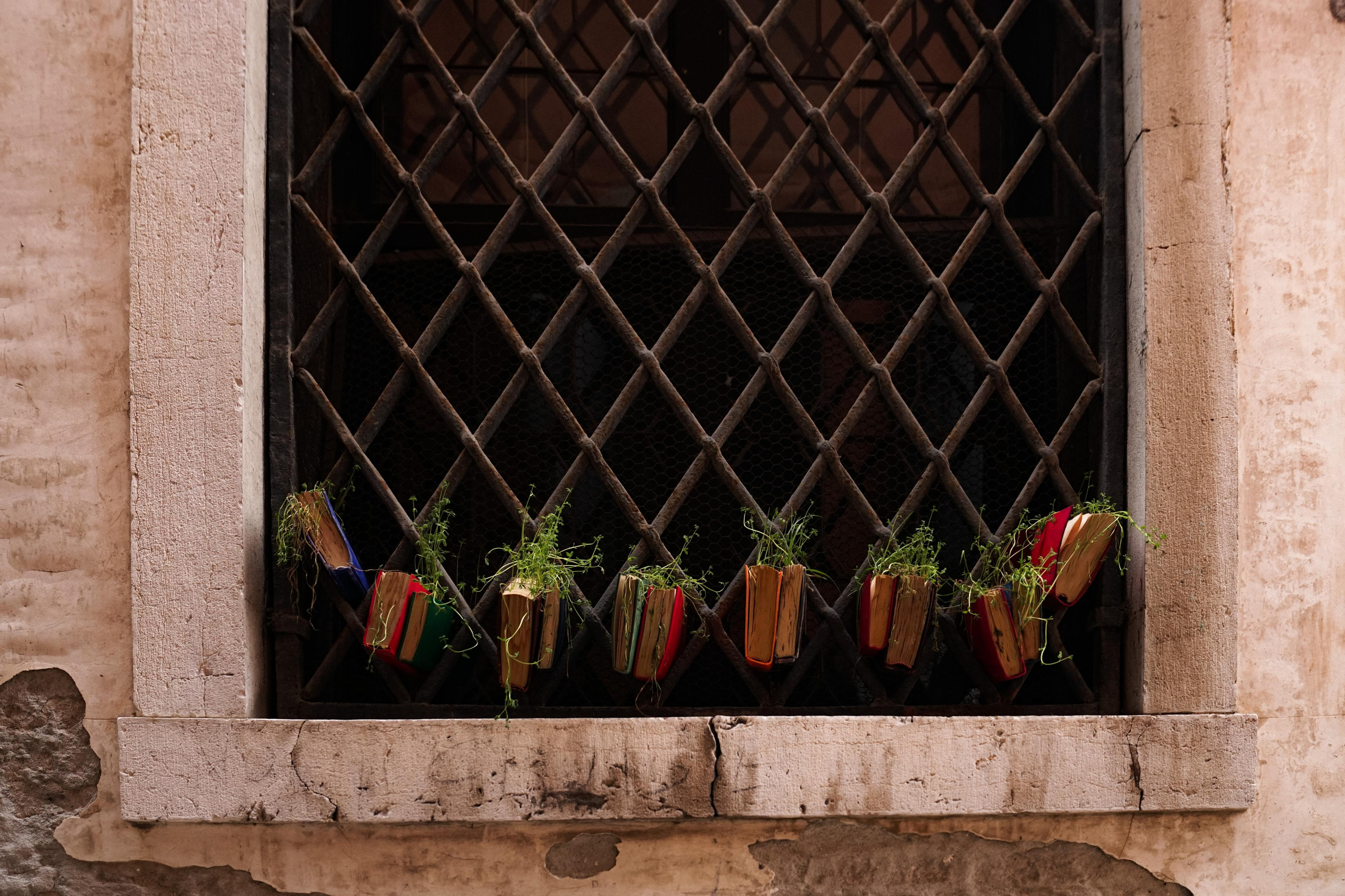 Italy. Photograph and videograph in Israel