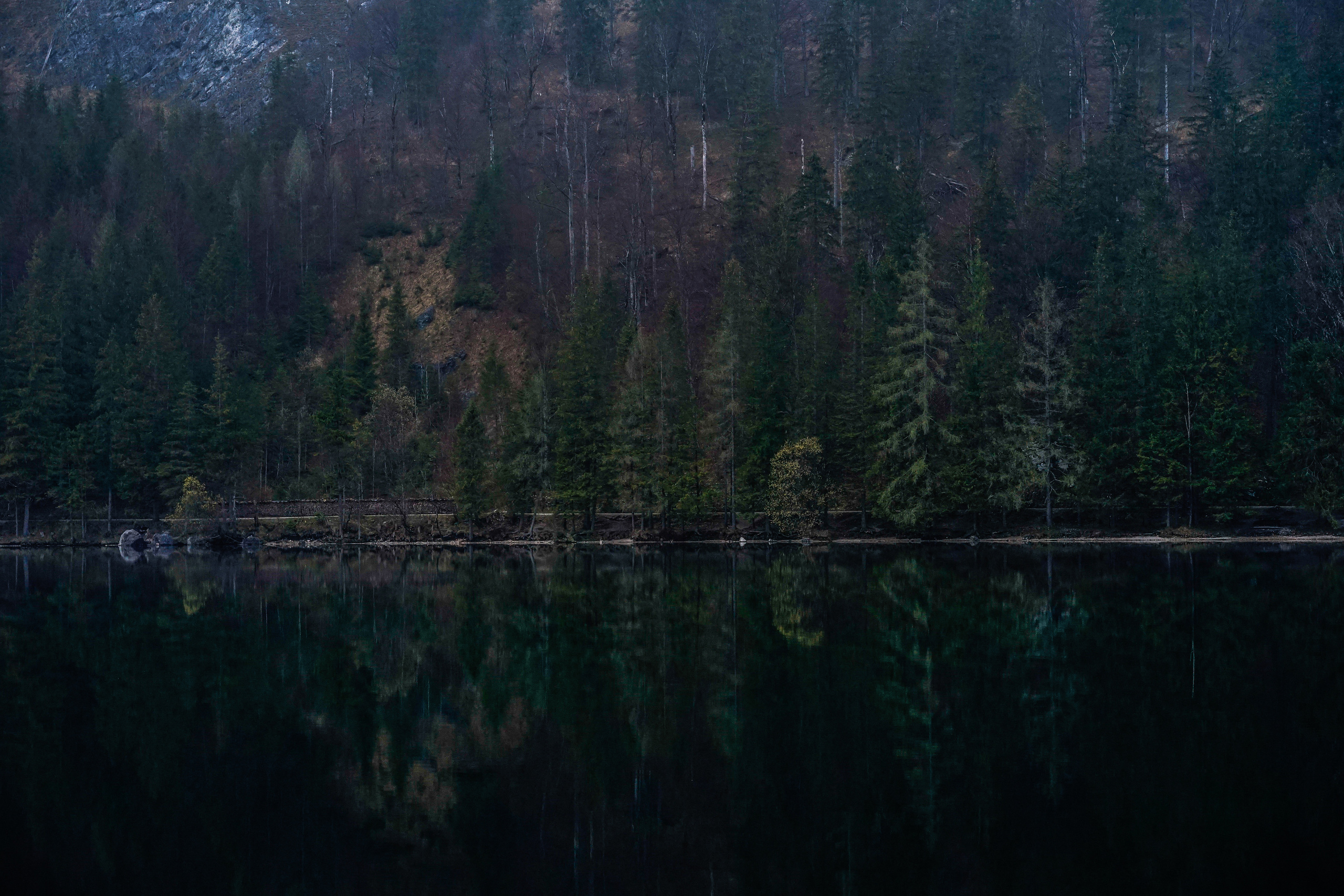 Austria. Фотограф и видеограф в Израиле Соня Скай