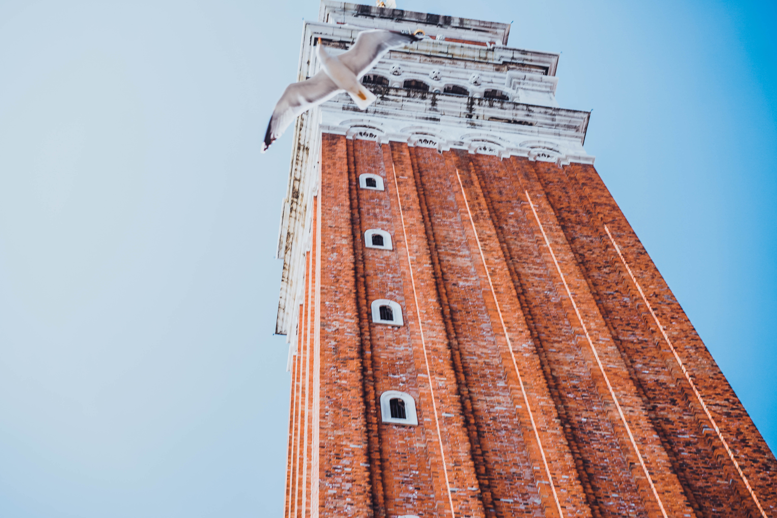 Italy. Photograph and videograph in Israel