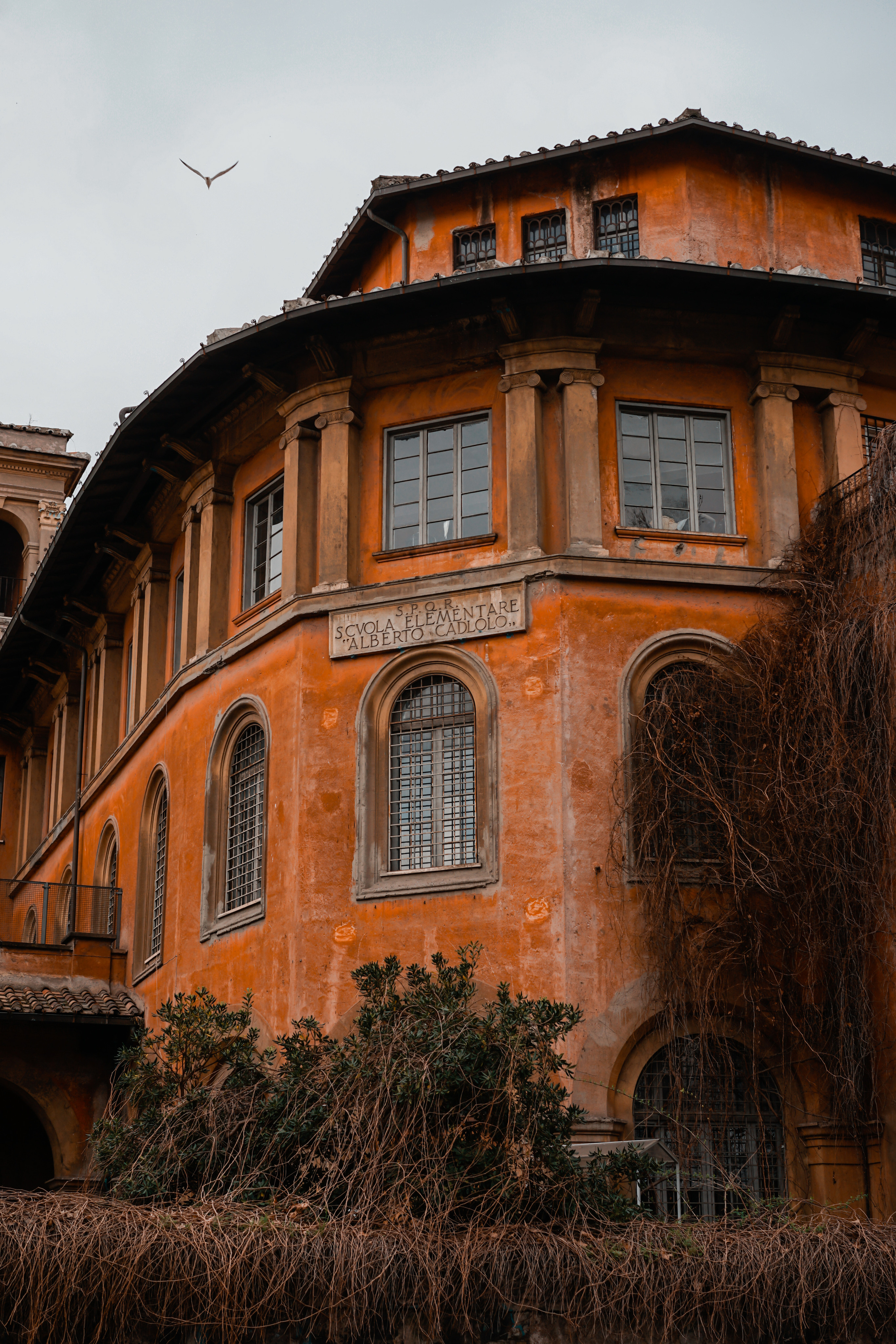 Italy. Photograph and videograph in Israel