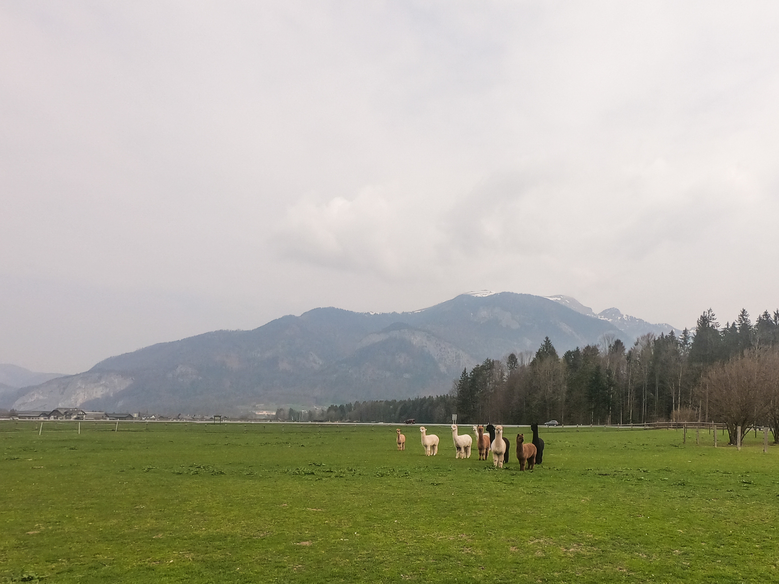 Austria. Фотограф и видеограф в Израиле Соня Скай