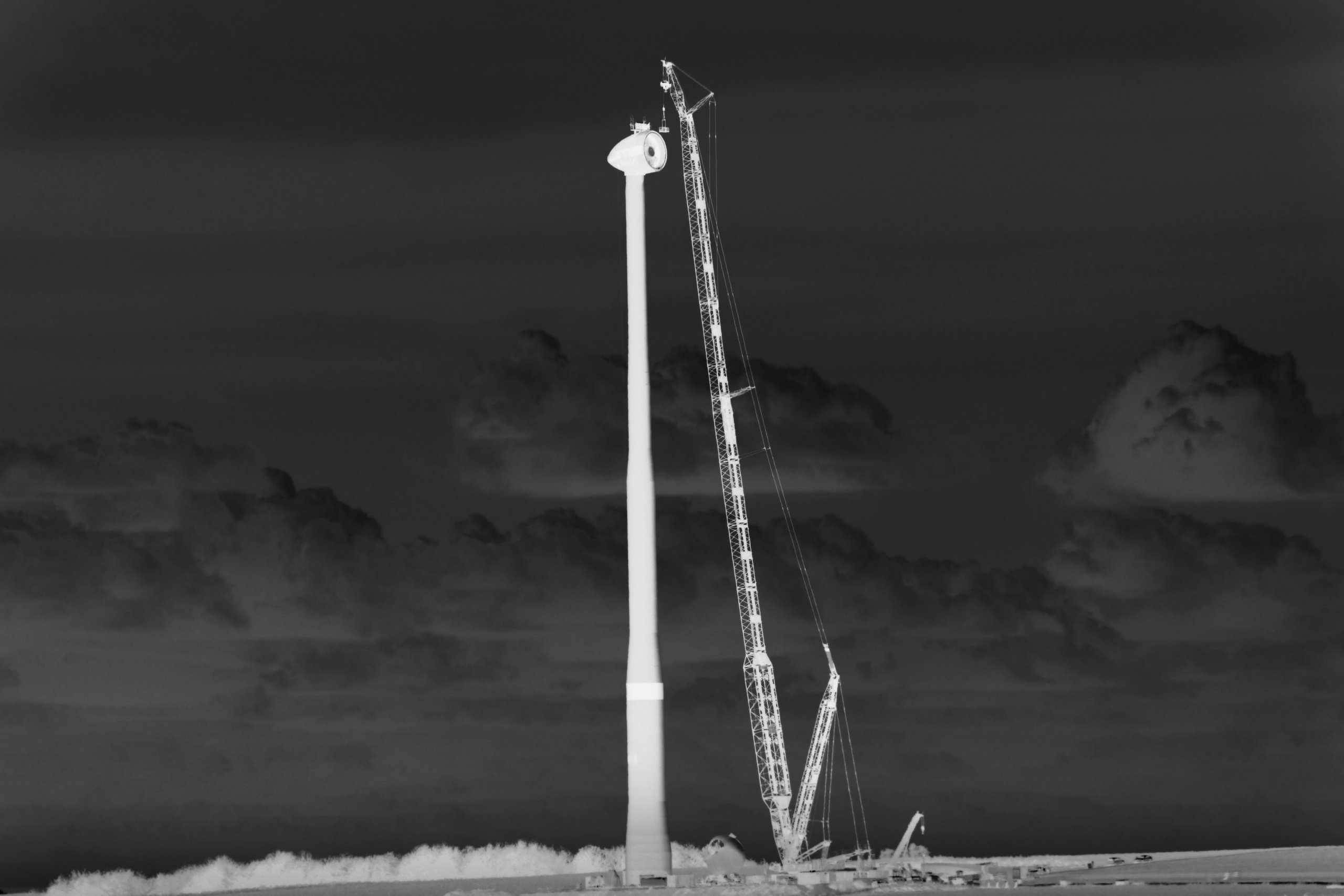 White and black, film negative. Семейный и детский фотограф в Буэнос-Айресе Перевозчикова Анна Fotógrafa de familia y niños en Buenos Aires Perevozchikova Anna