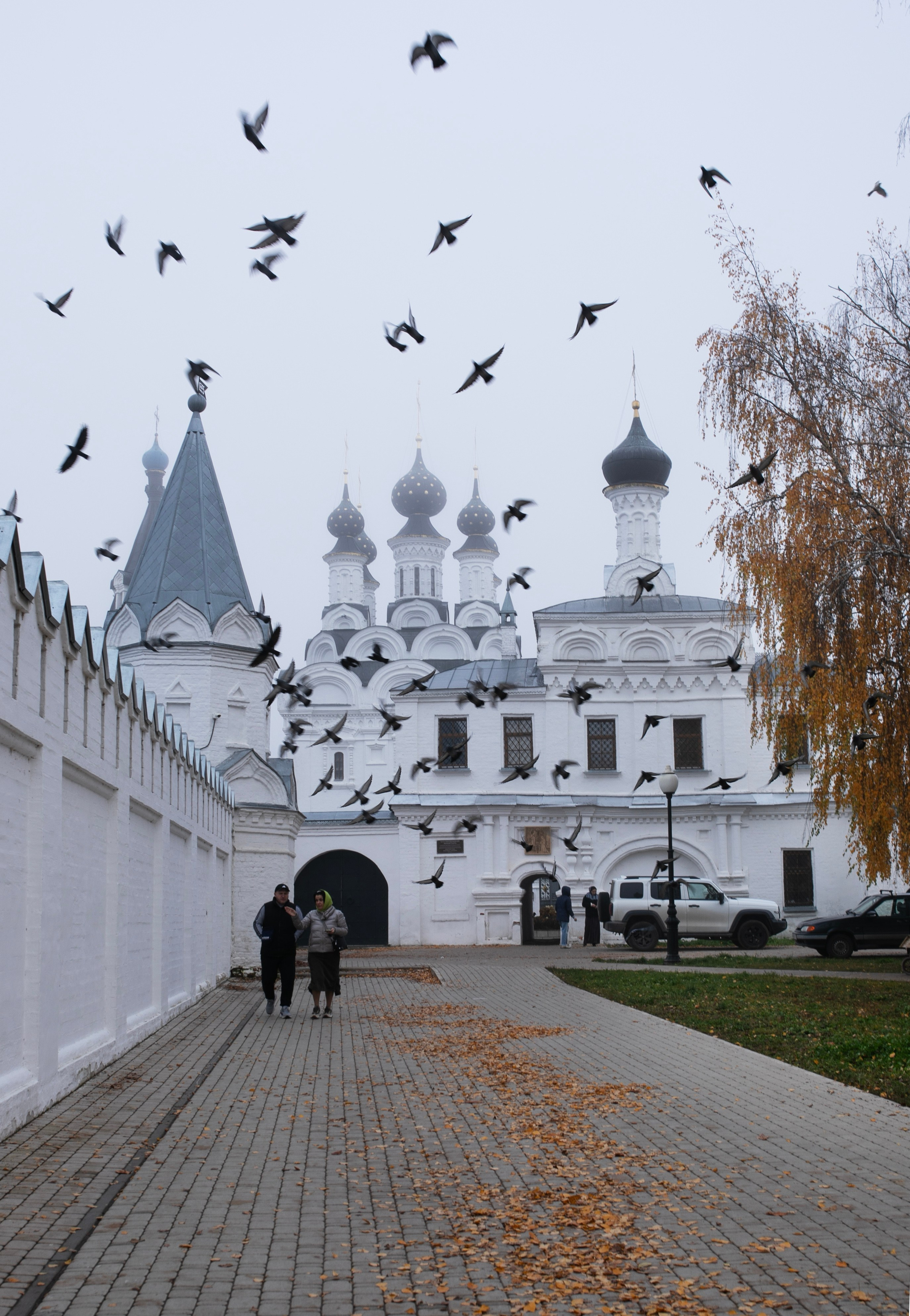 Муром — Гороховец'25. Фотограф-портретист в Москве